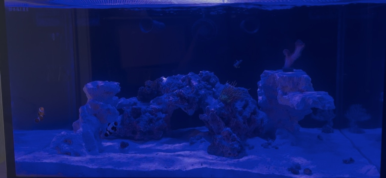 Tank Image
