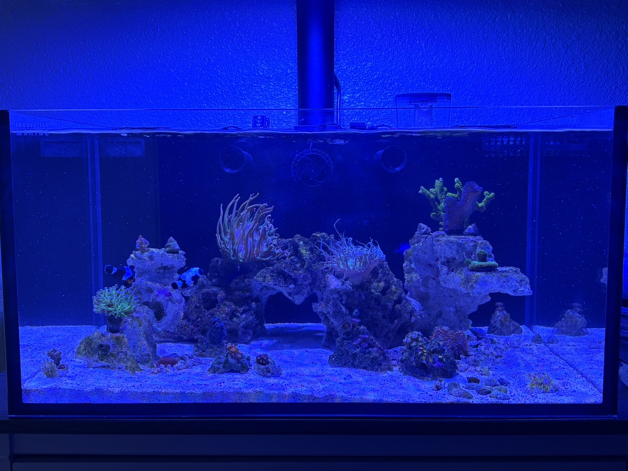 Tank Image