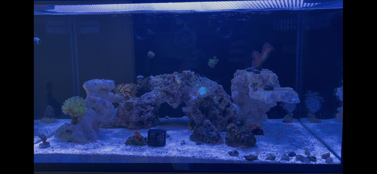 Tank Image