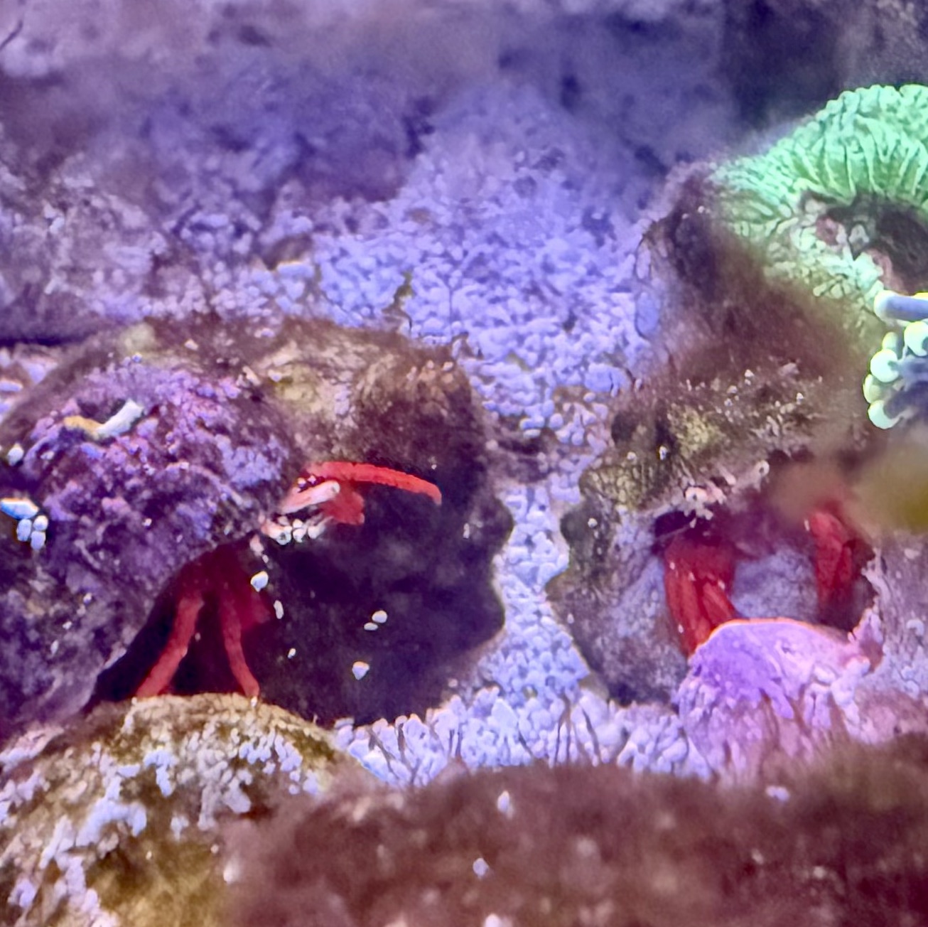 Tank Image