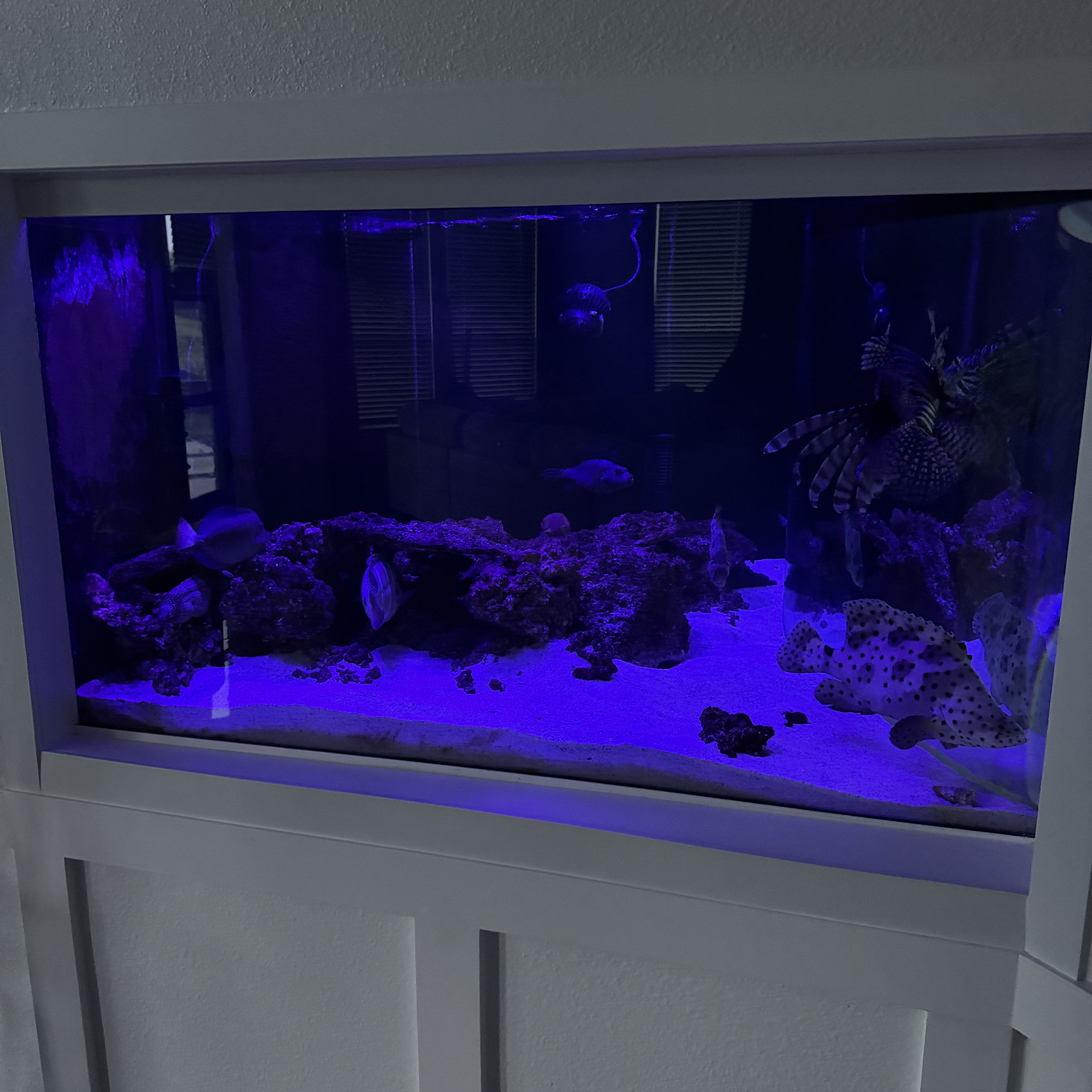 Tank Image