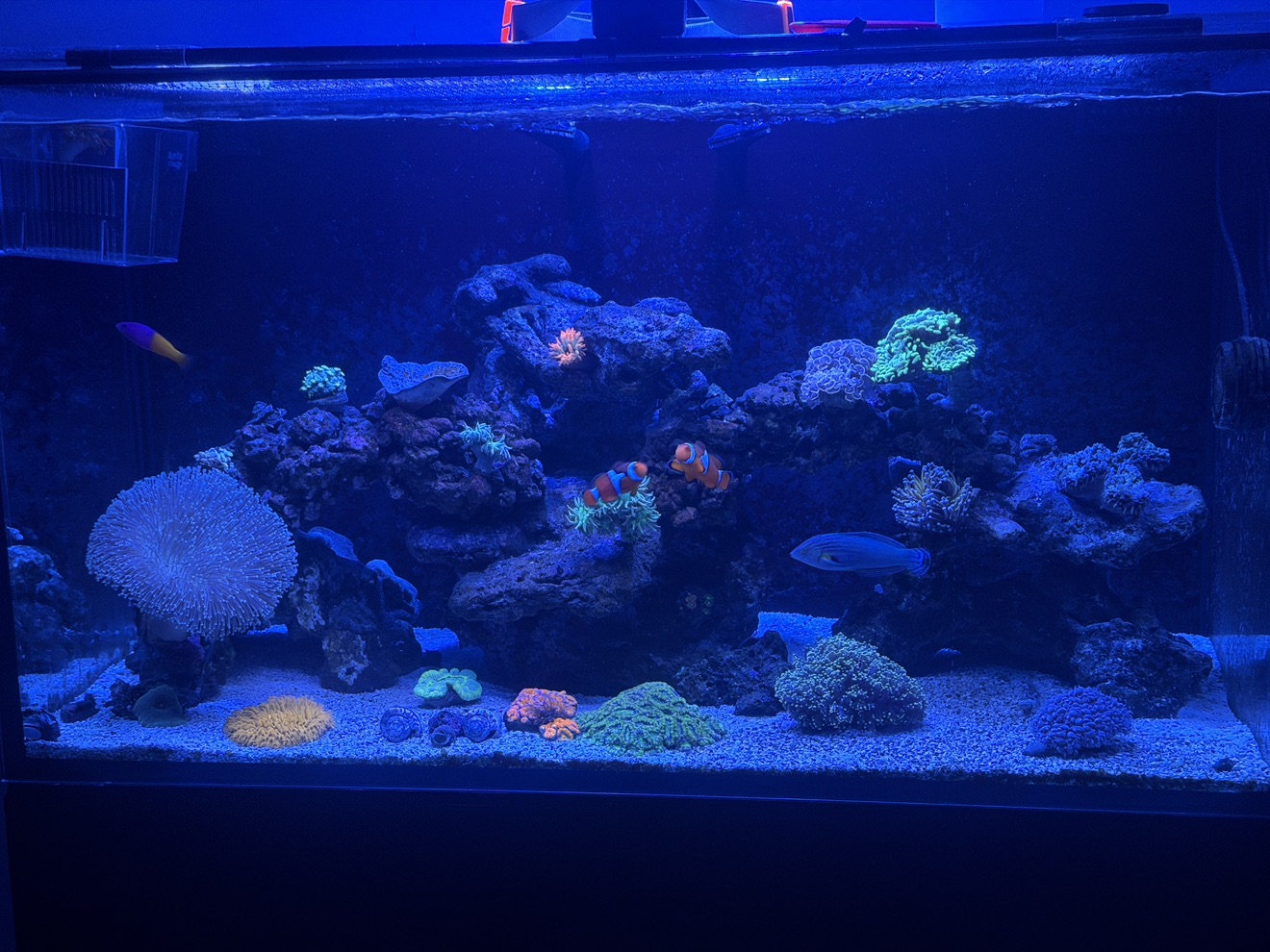 Tank Image