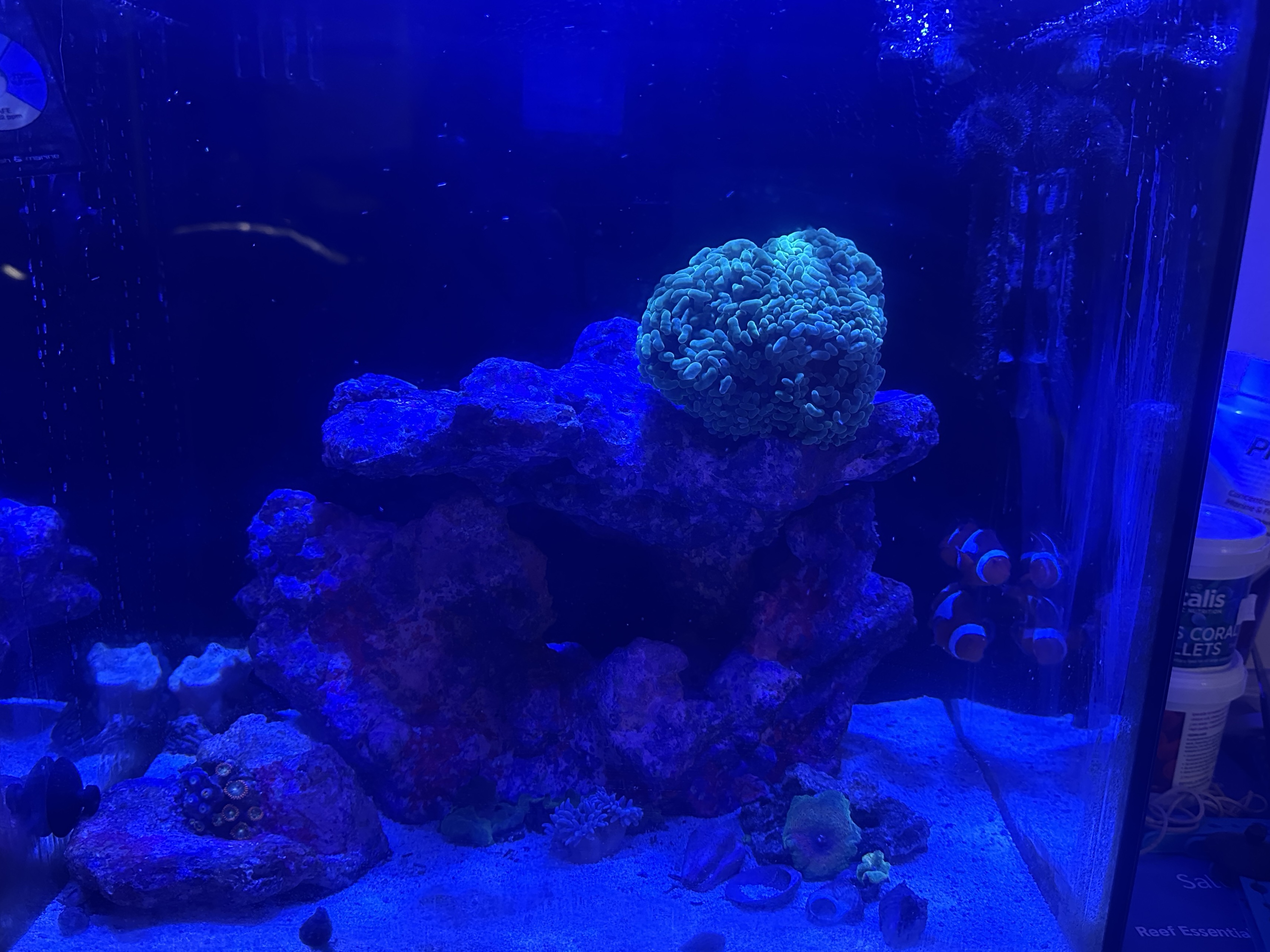 Tank Image