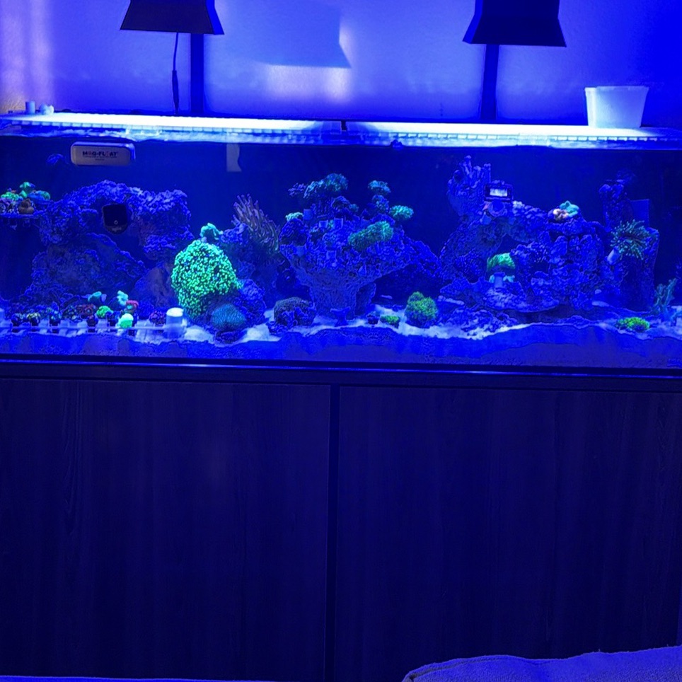Tank Image