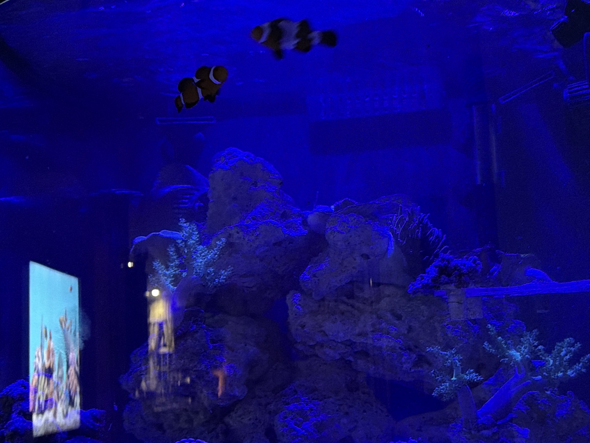 Tank Image