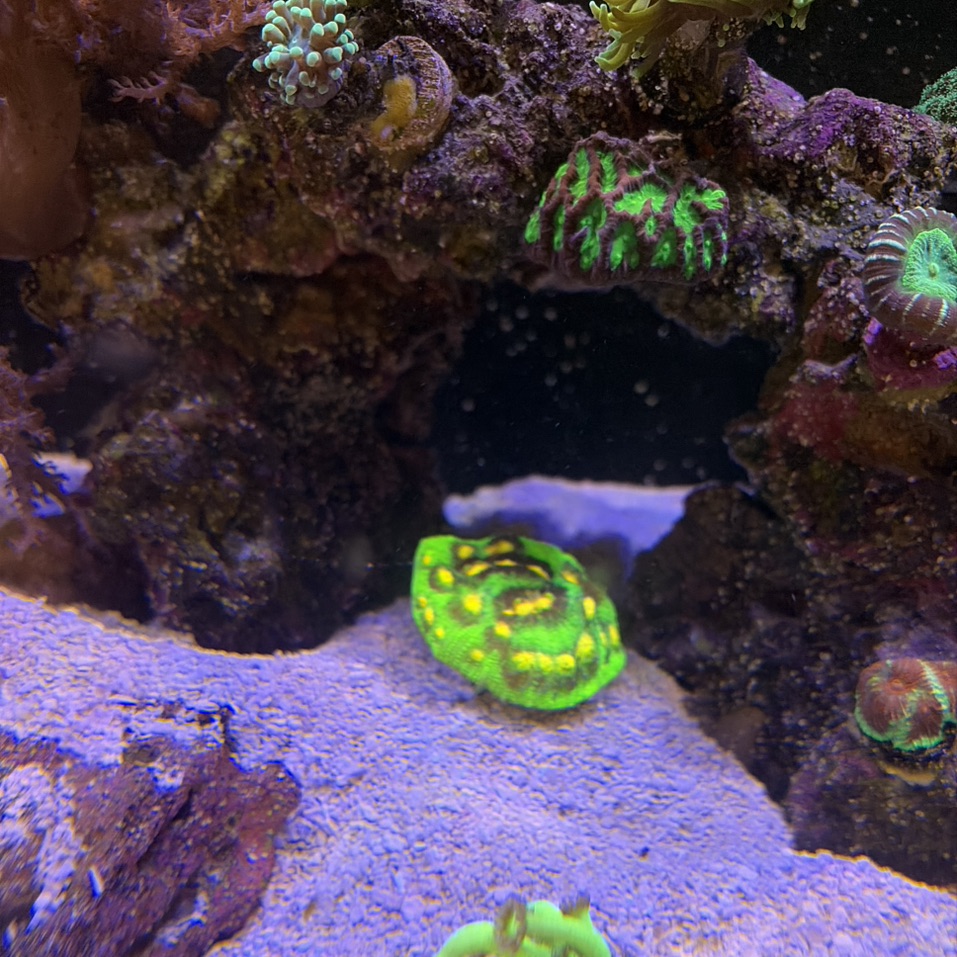 Tank Image