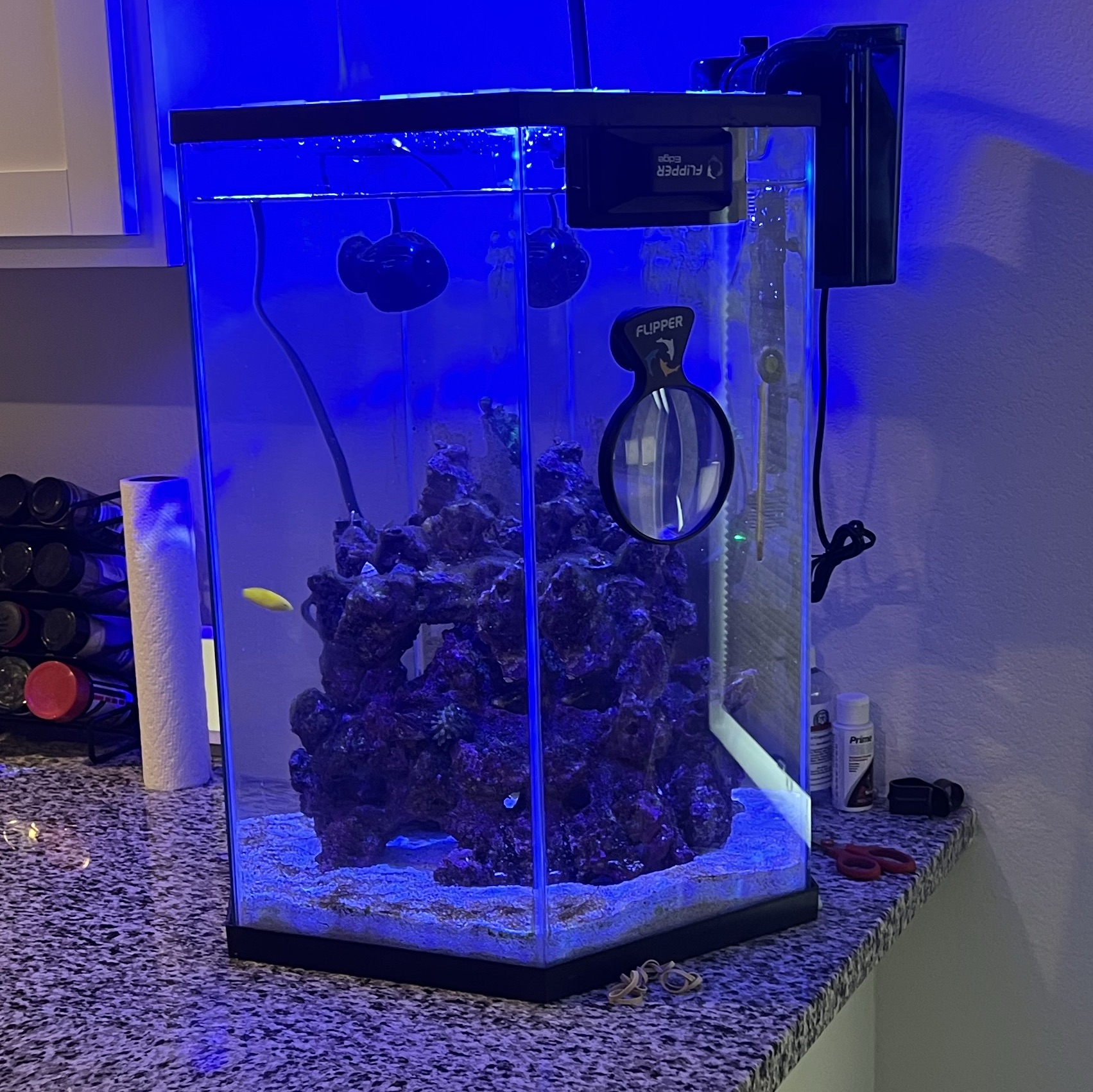 Tank Image