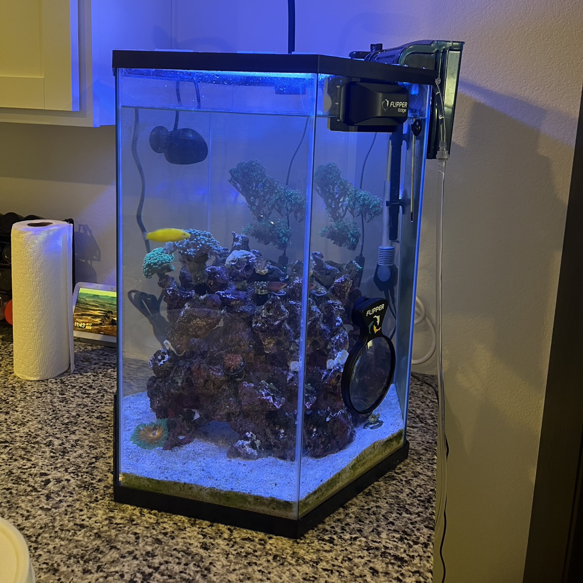 Tank Image