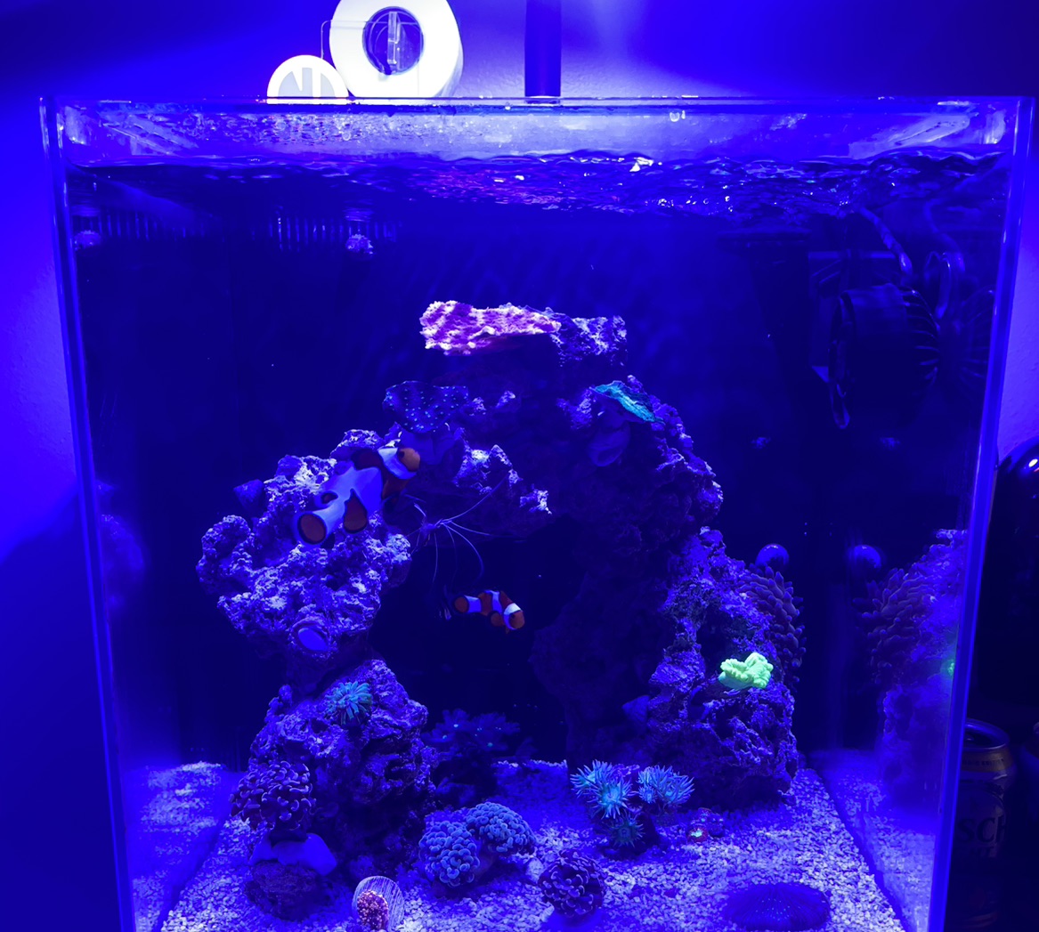 Tank Image
