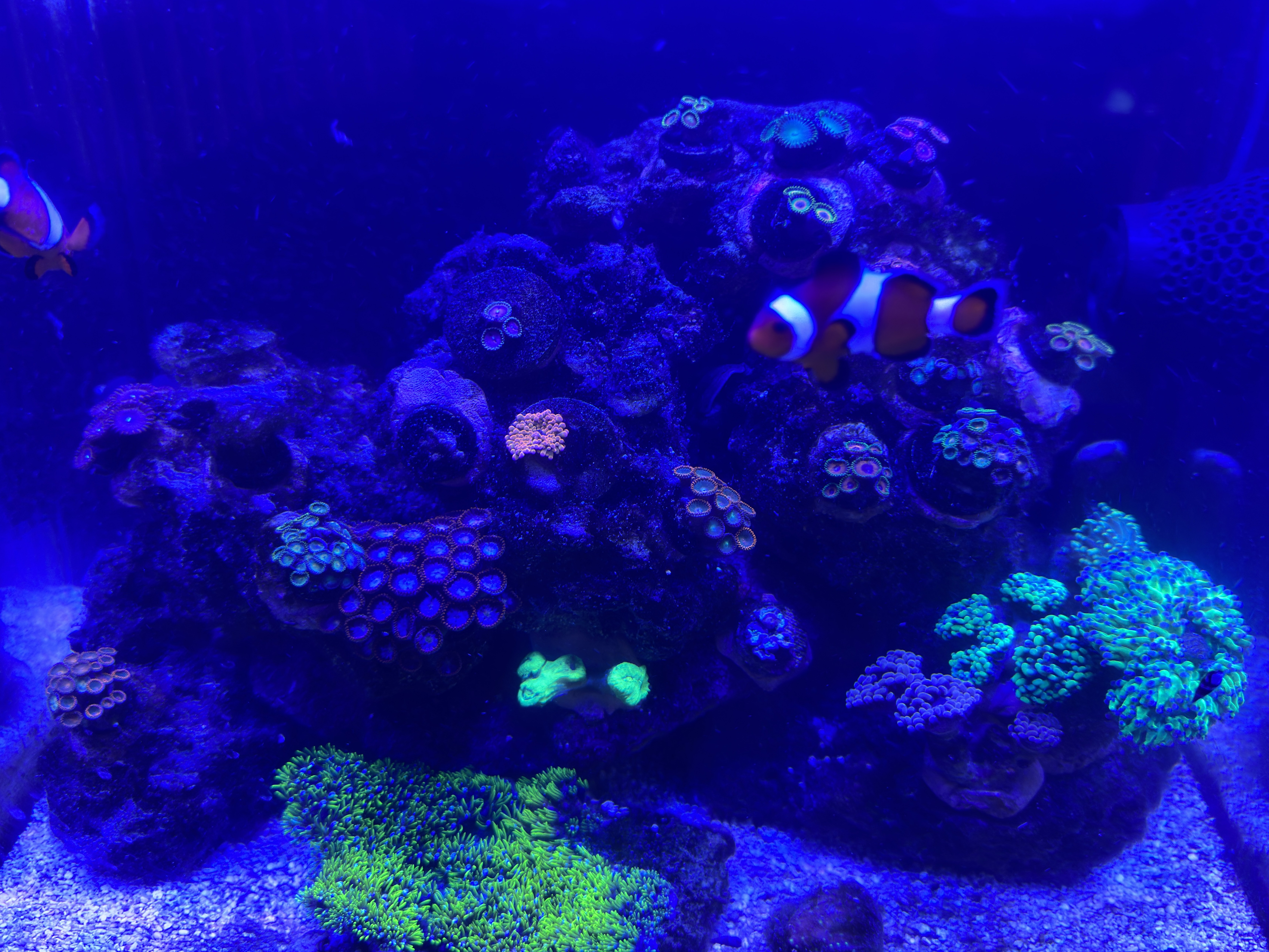 Tank Image