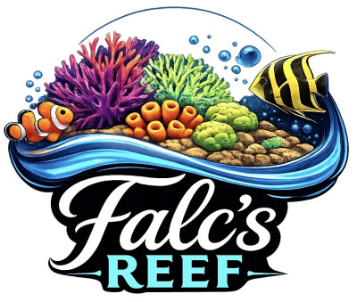 FalcsReef