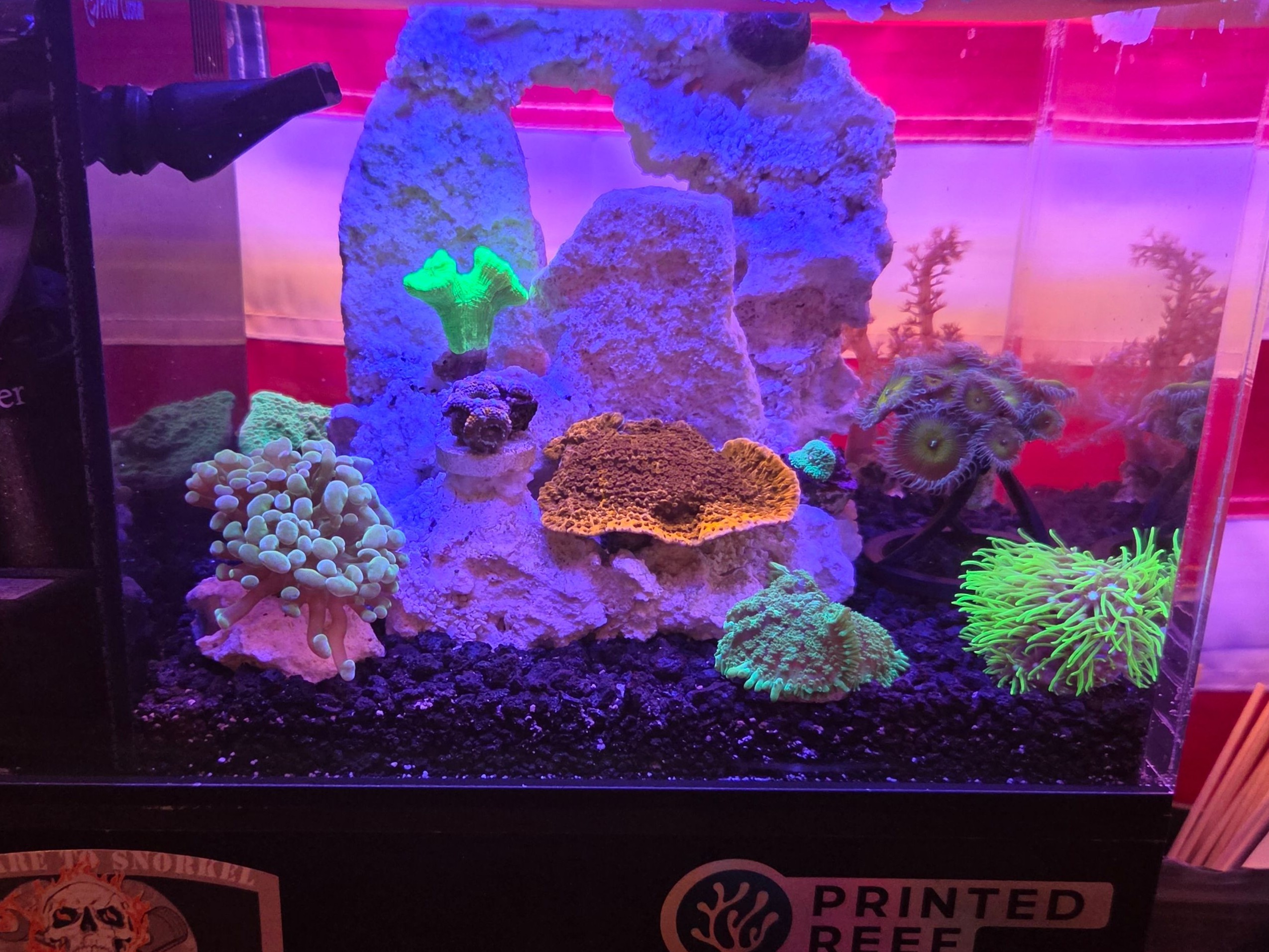 Tank Image