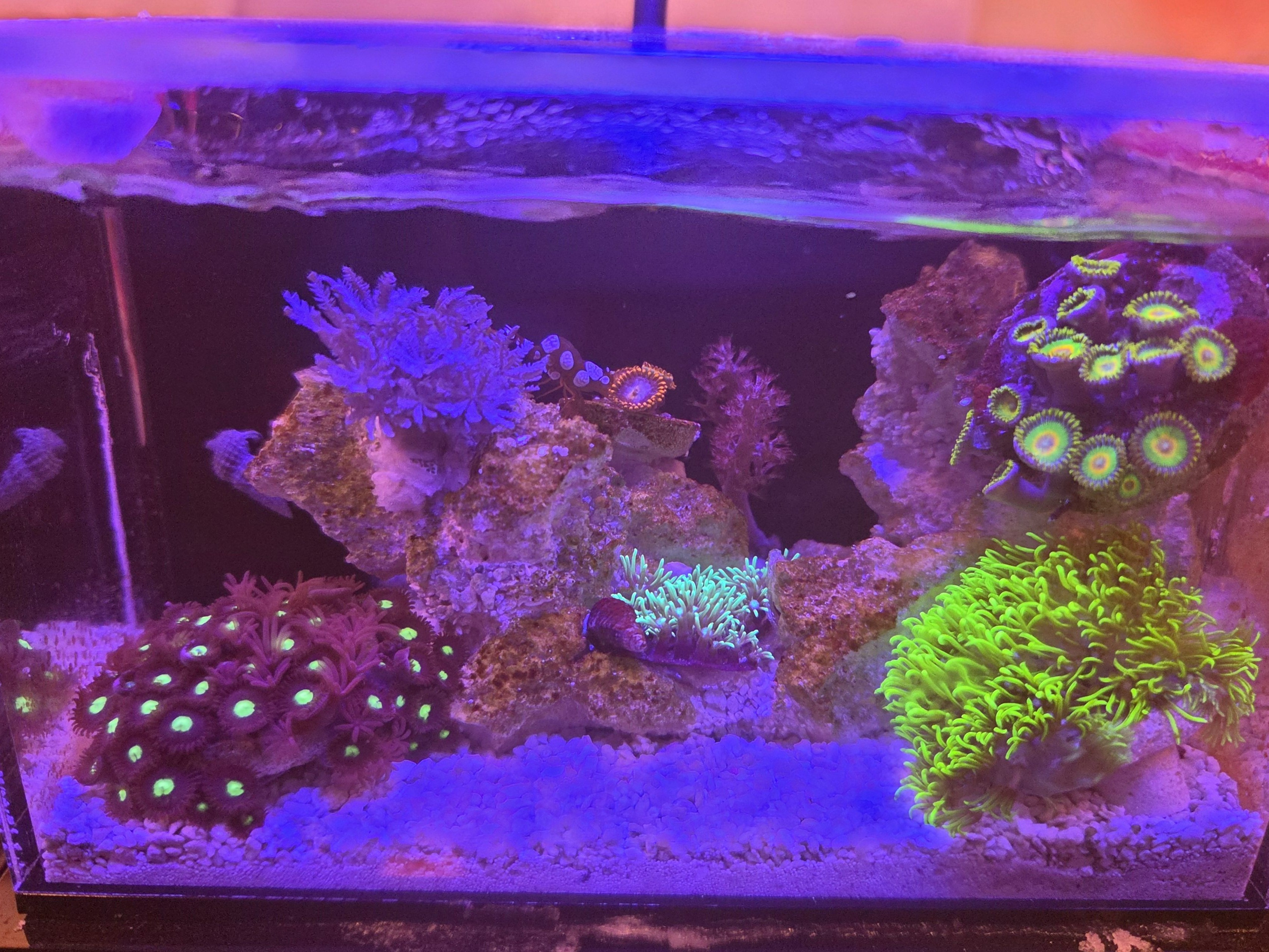 Tank Image
