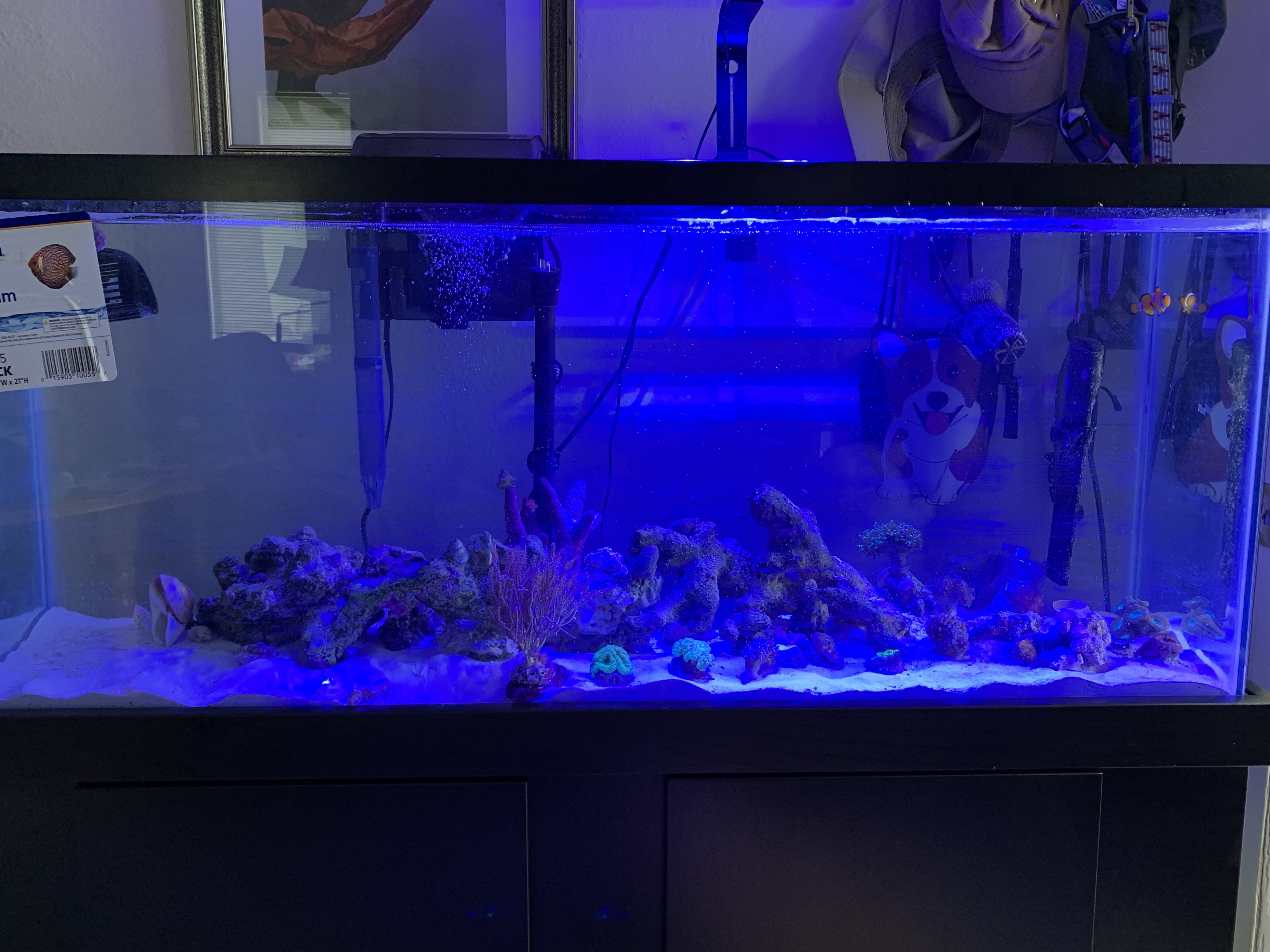 Tank Image