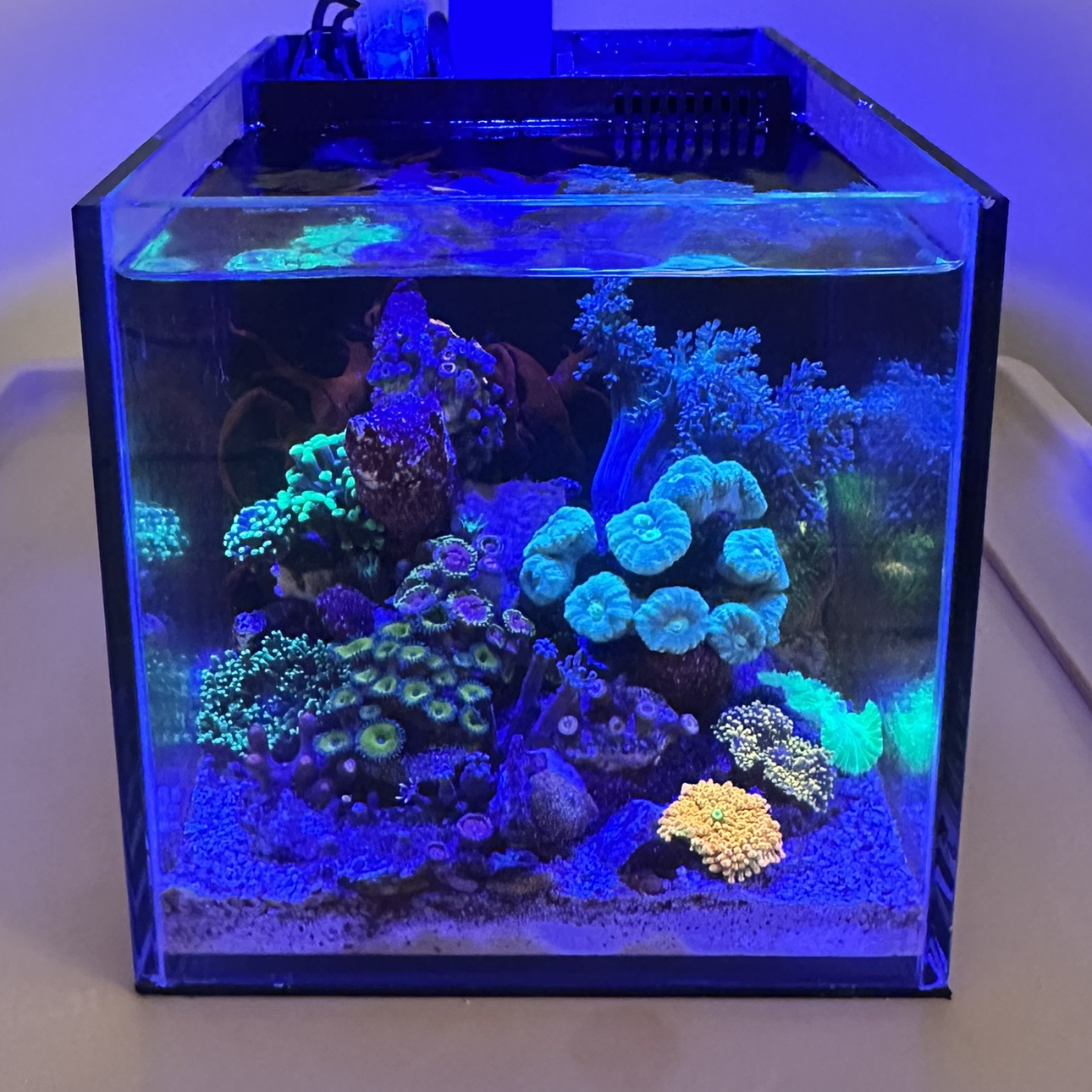 Tank Image