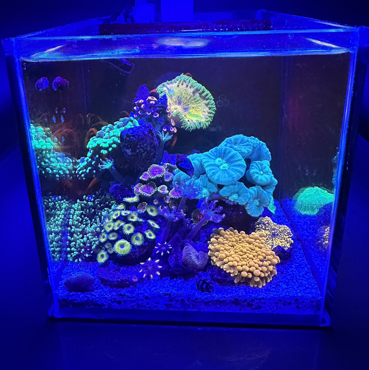 Tank Image