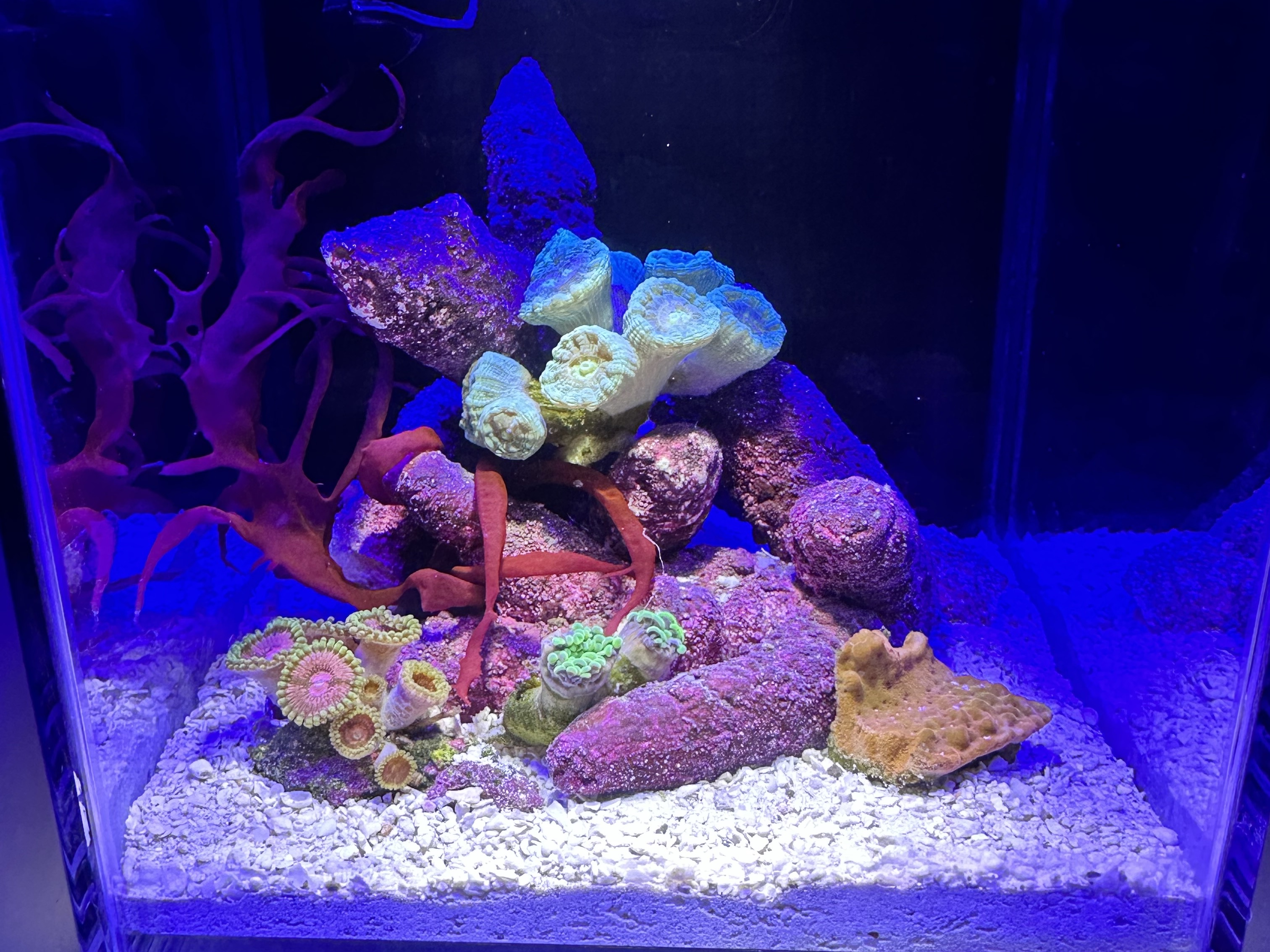 Tank Image