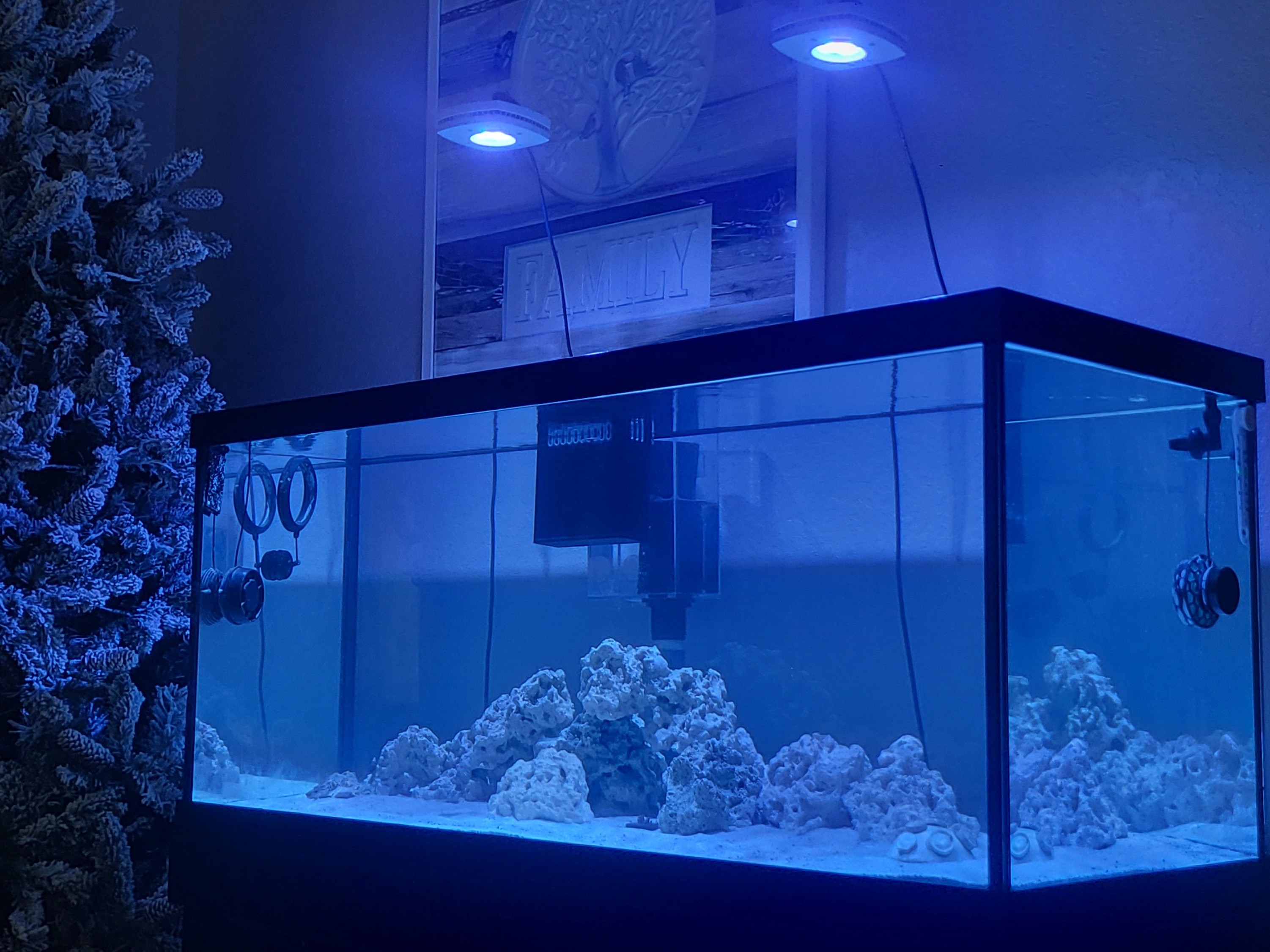 Tank Image