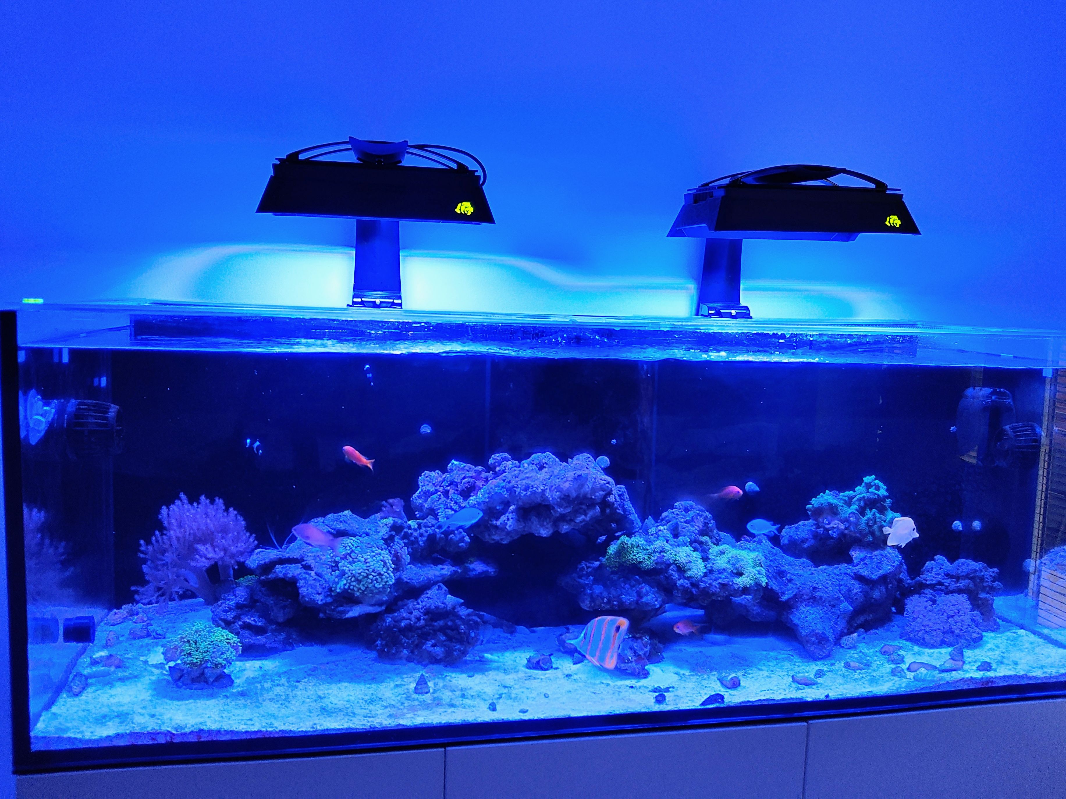 Tank Image