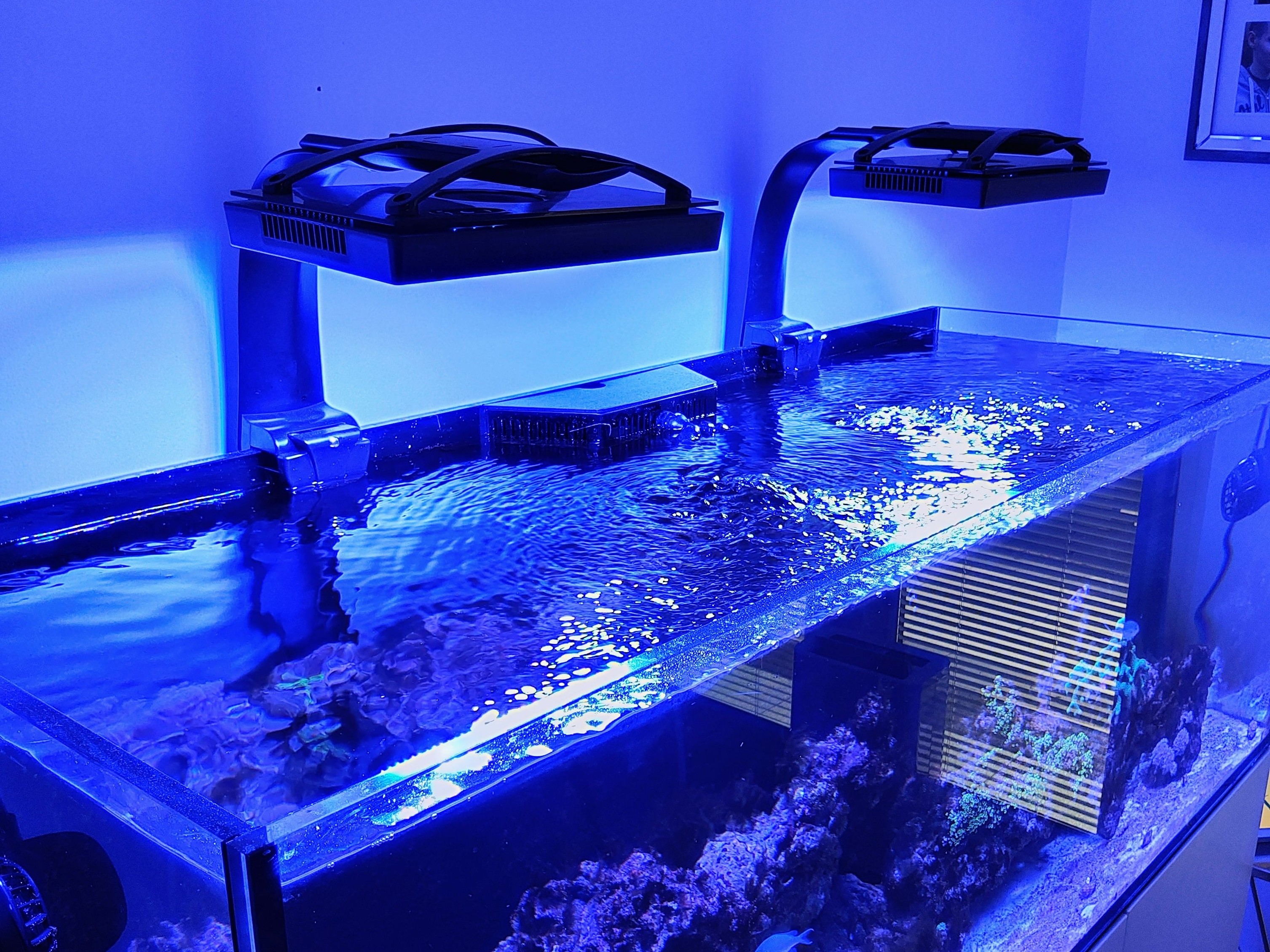 Tank Image