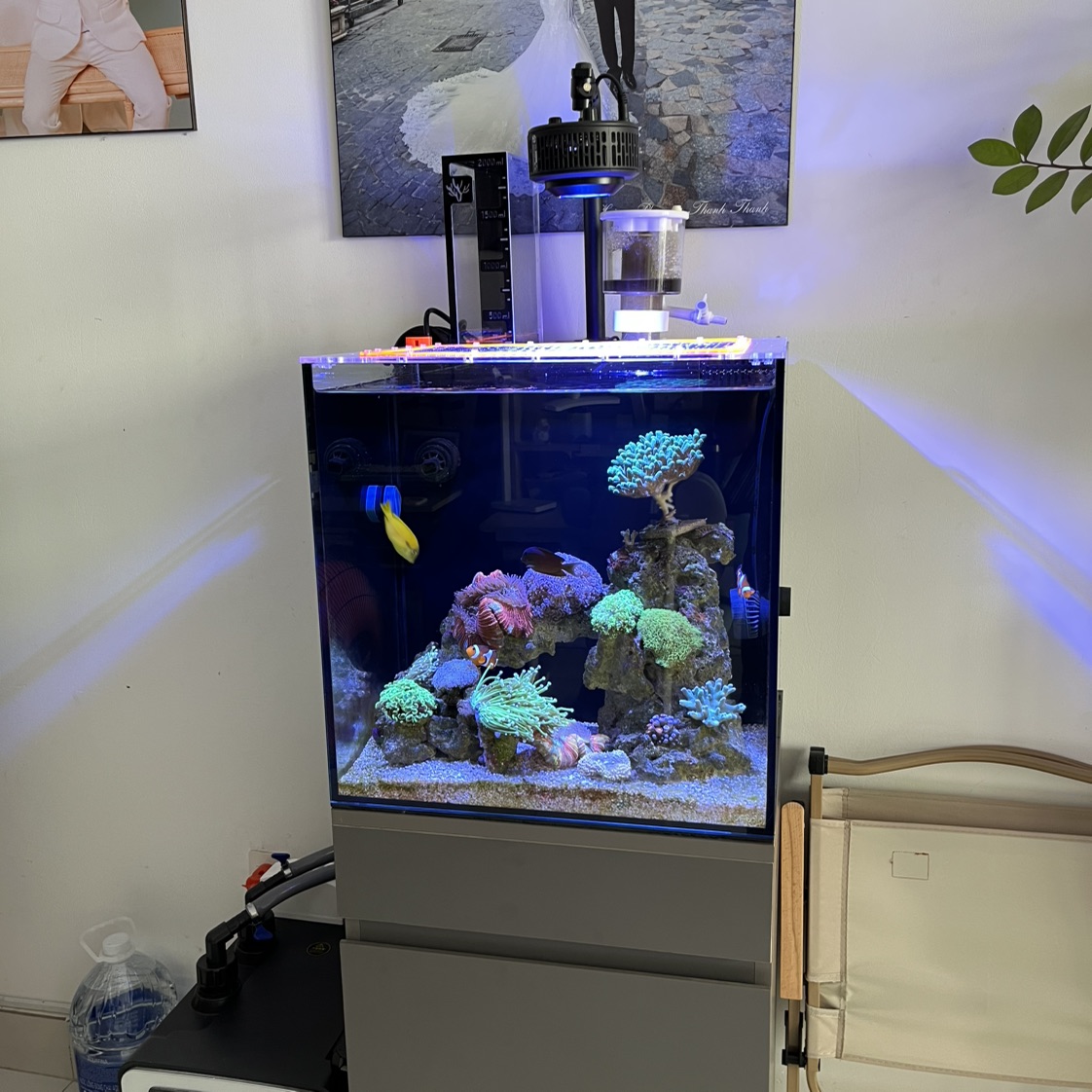 Tank Image
