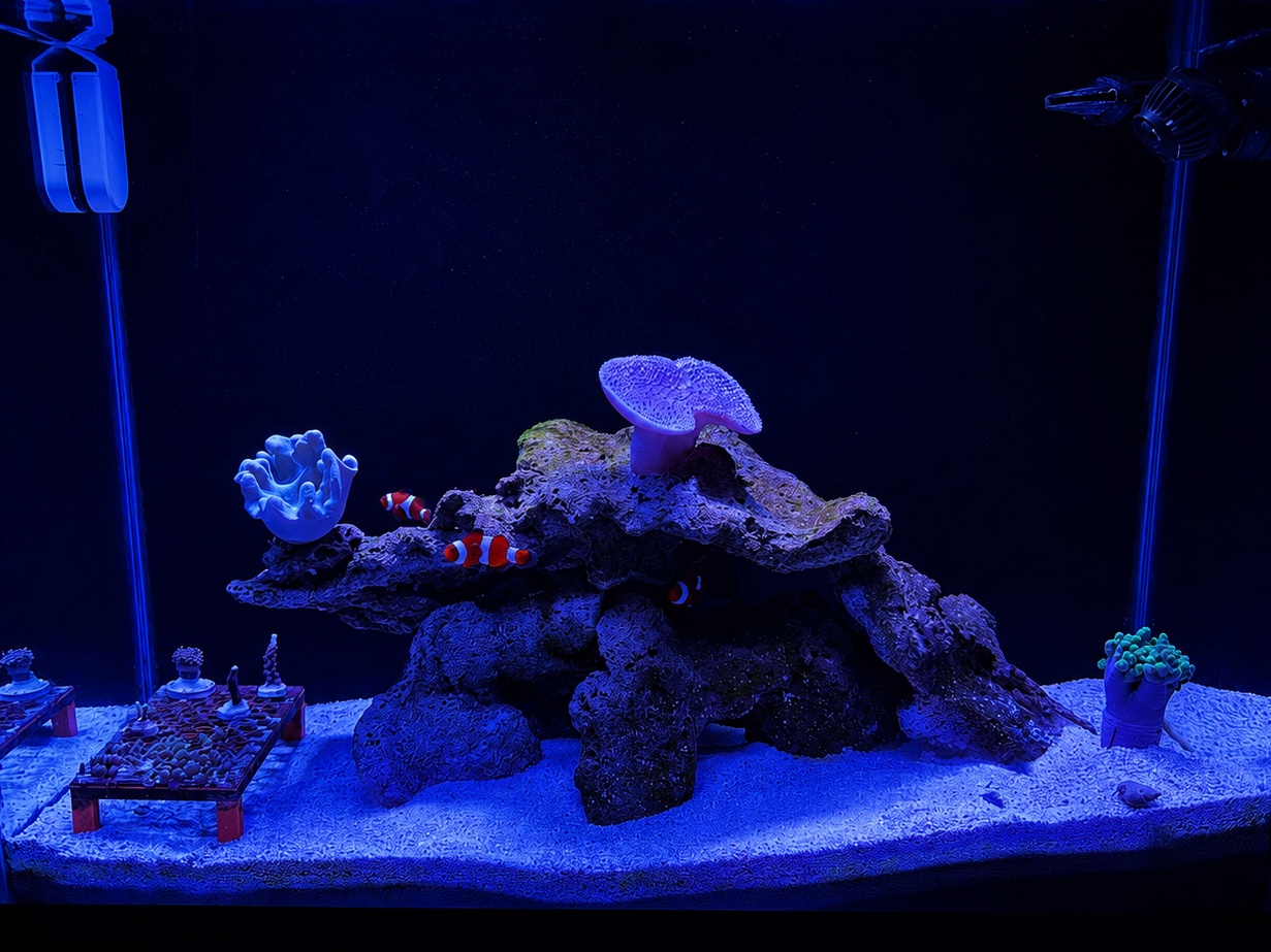 Tank Image