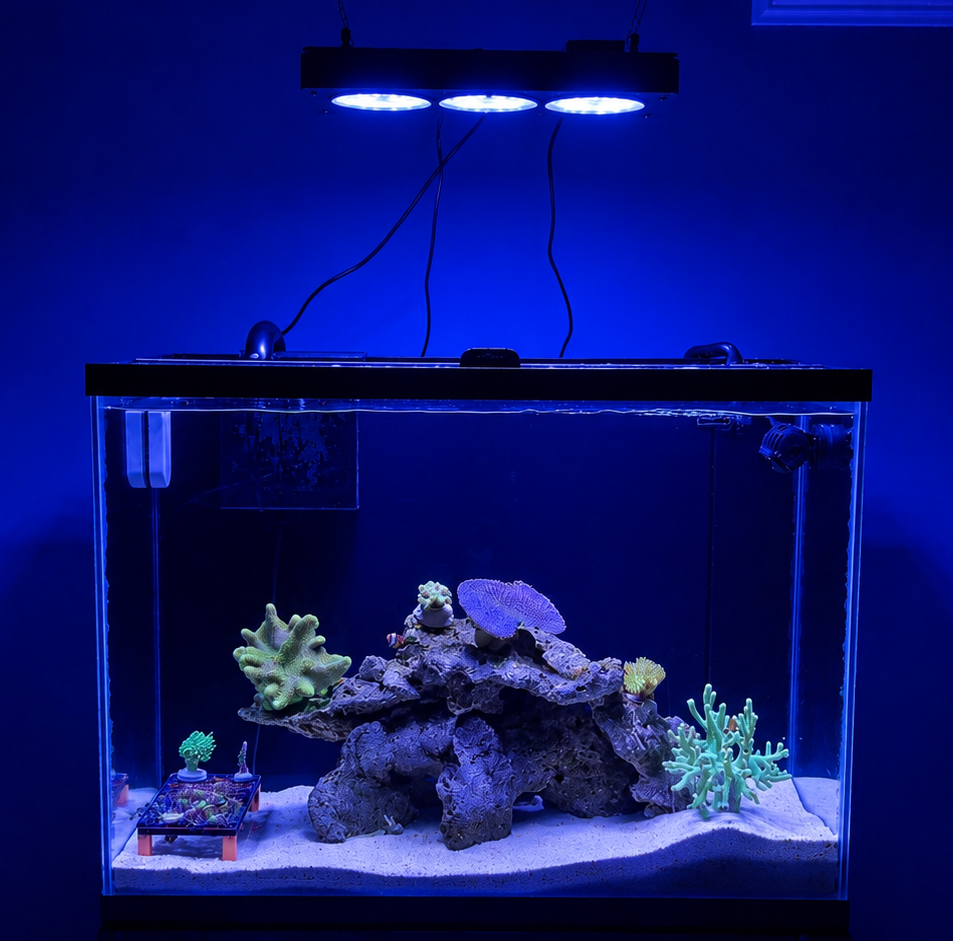 Tank Image