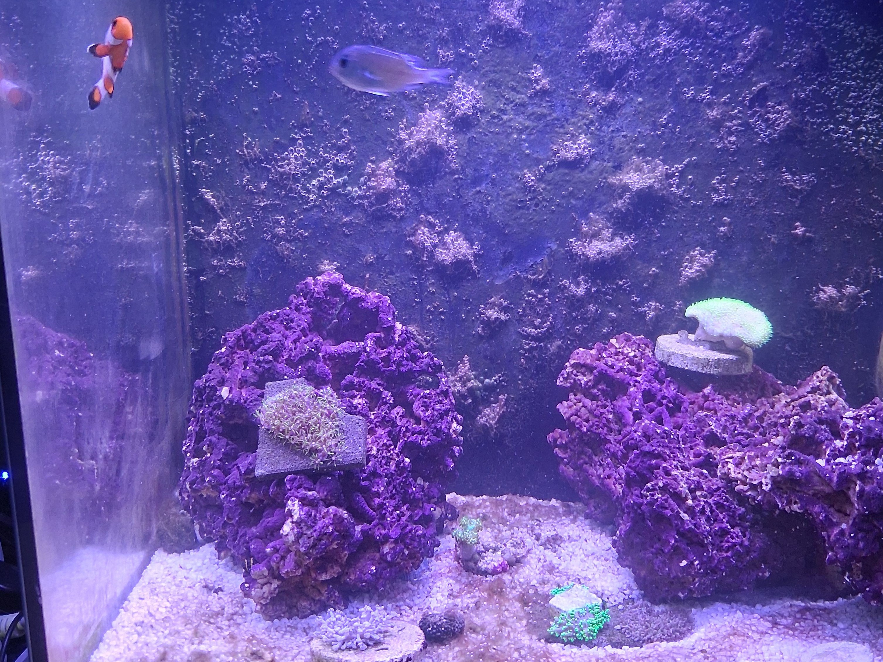 Tank Image