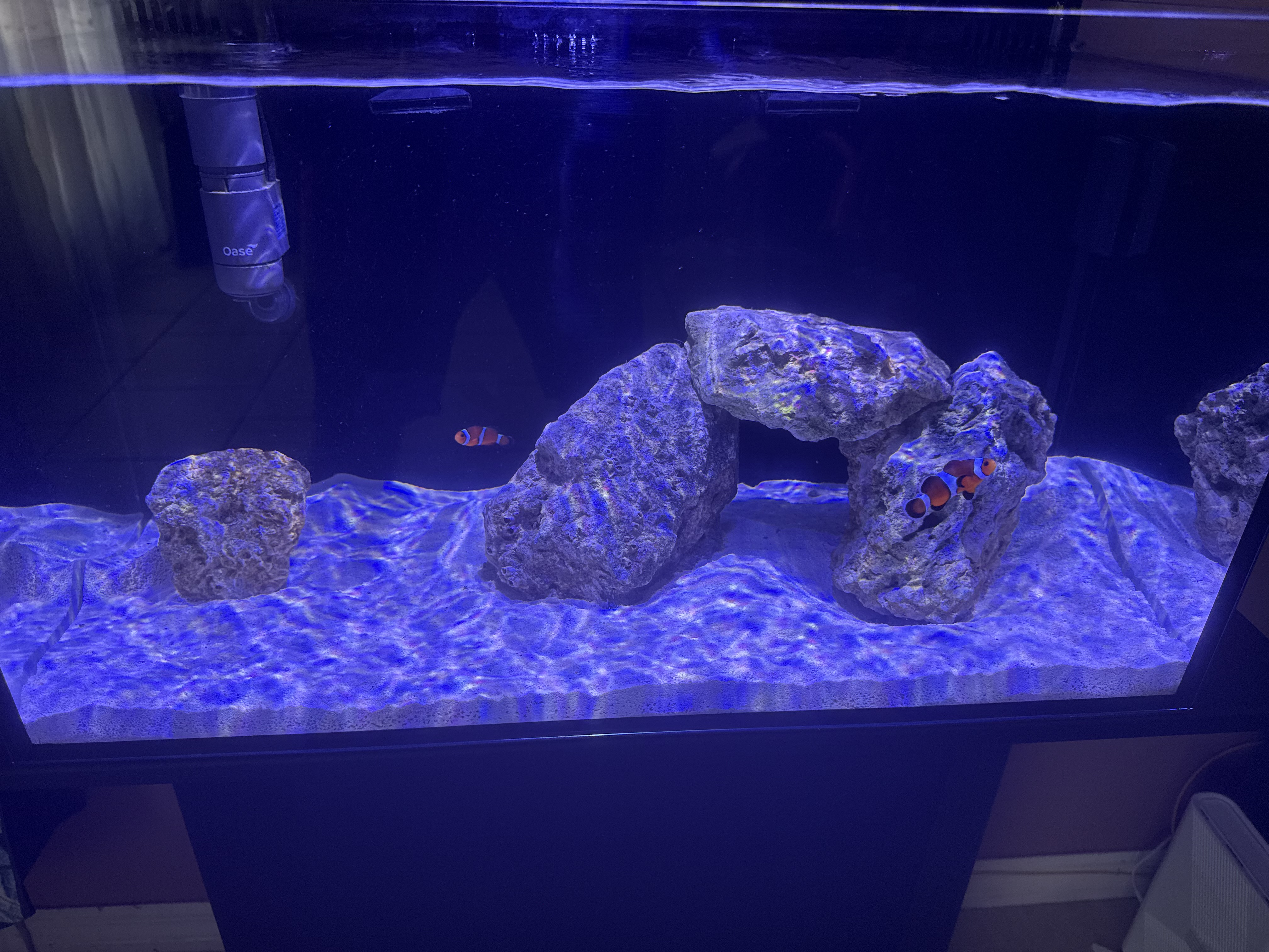 Tank Image