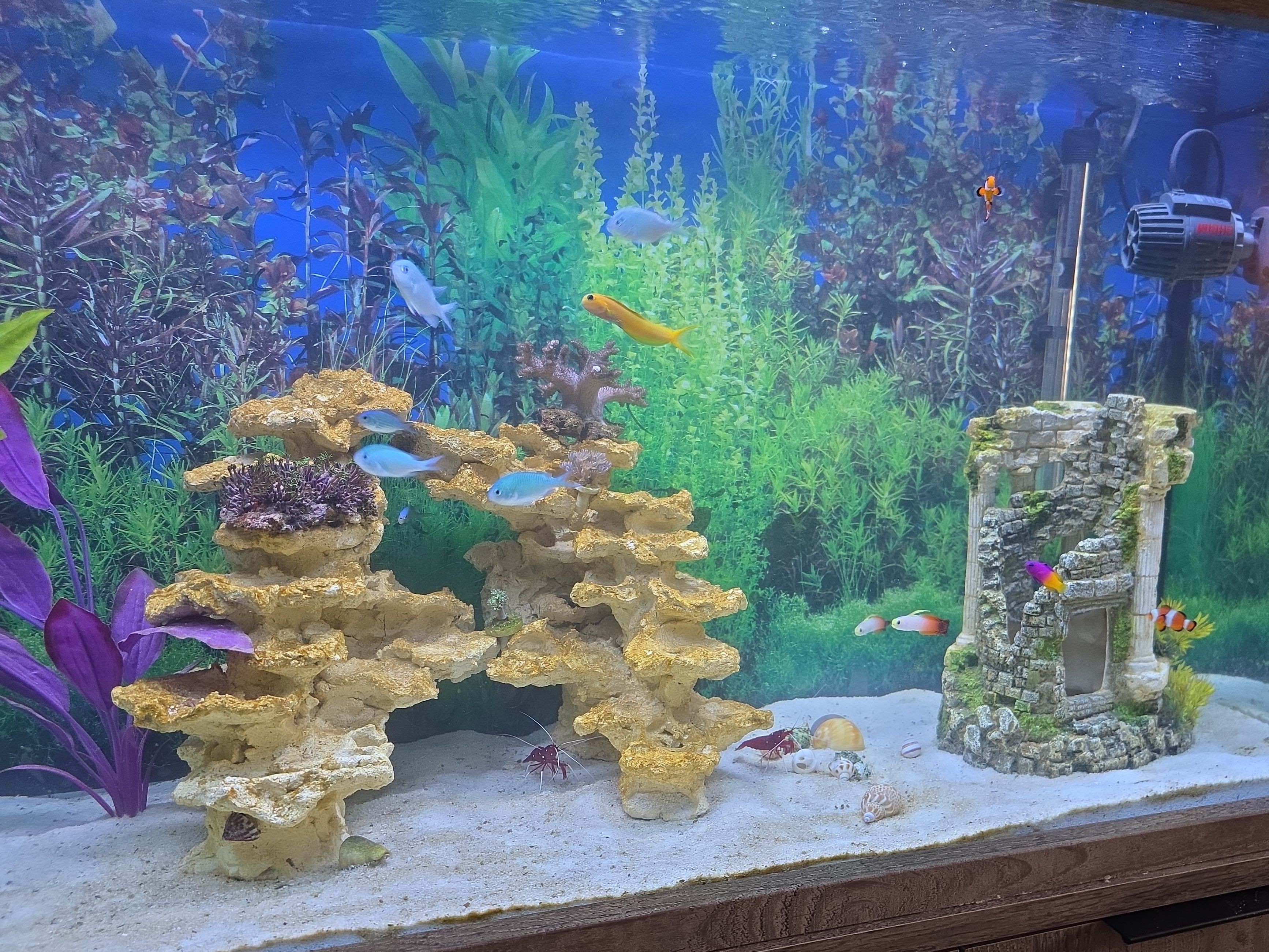 Tank Image