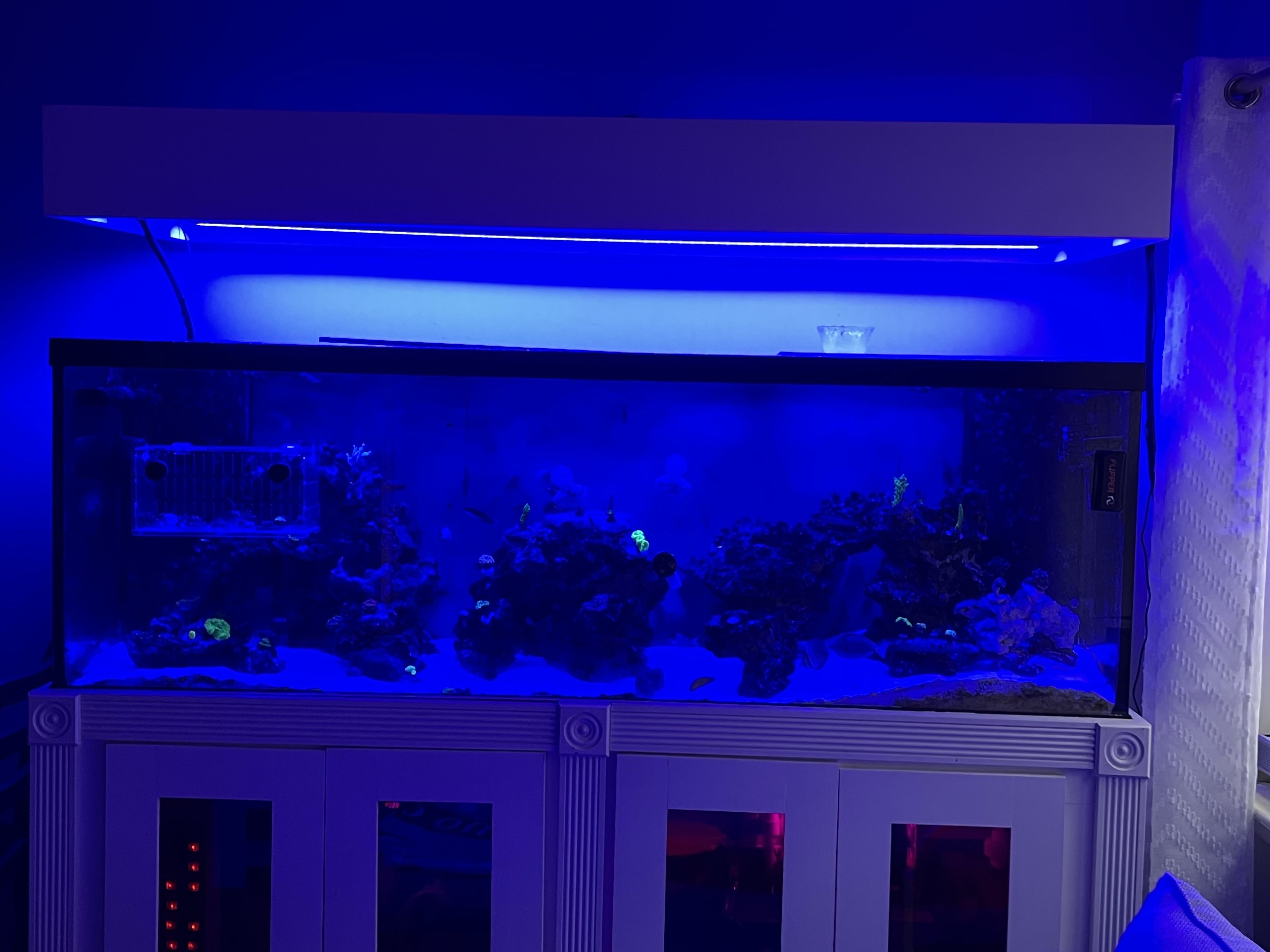 Tank Image