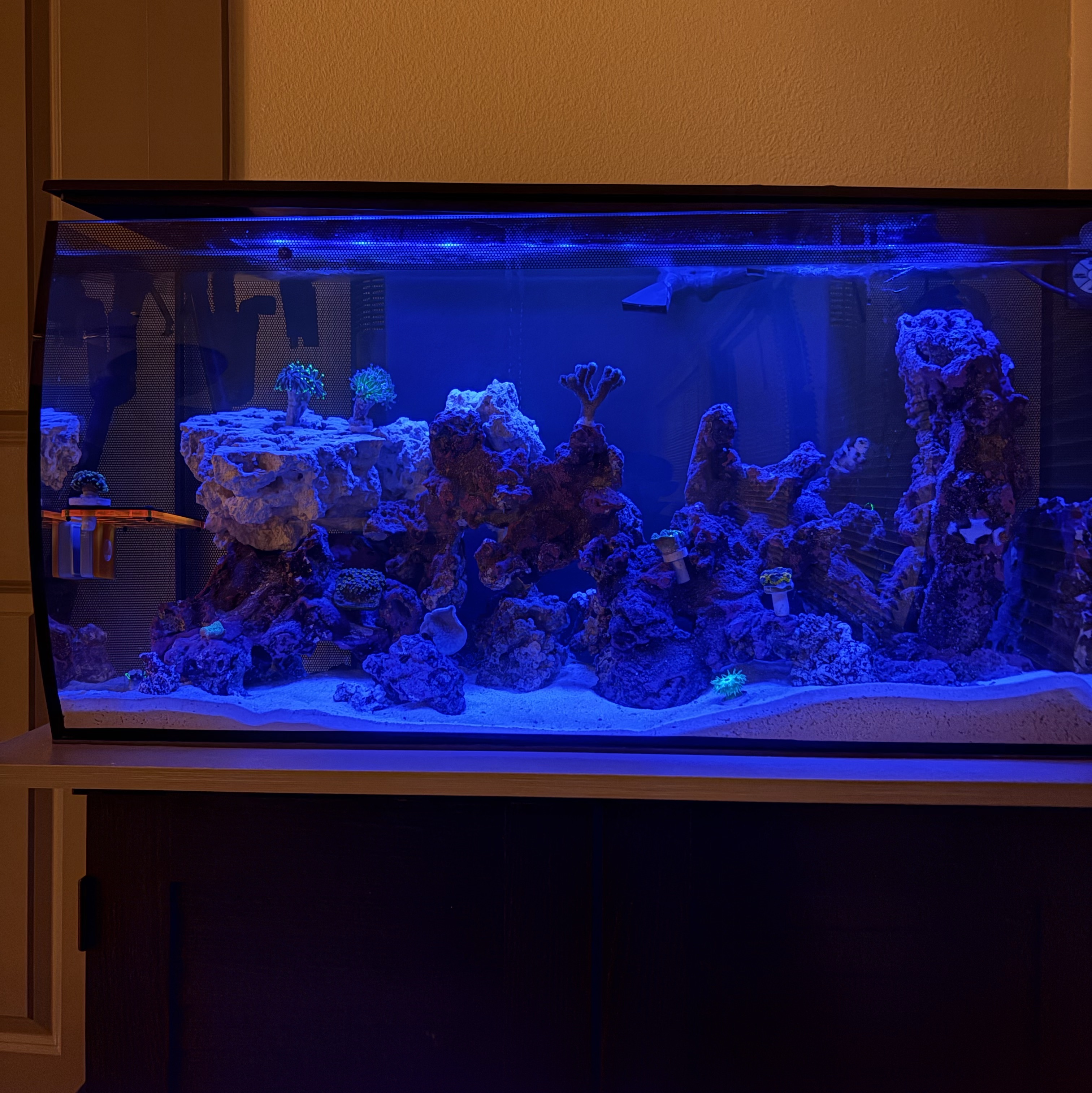Tank Image