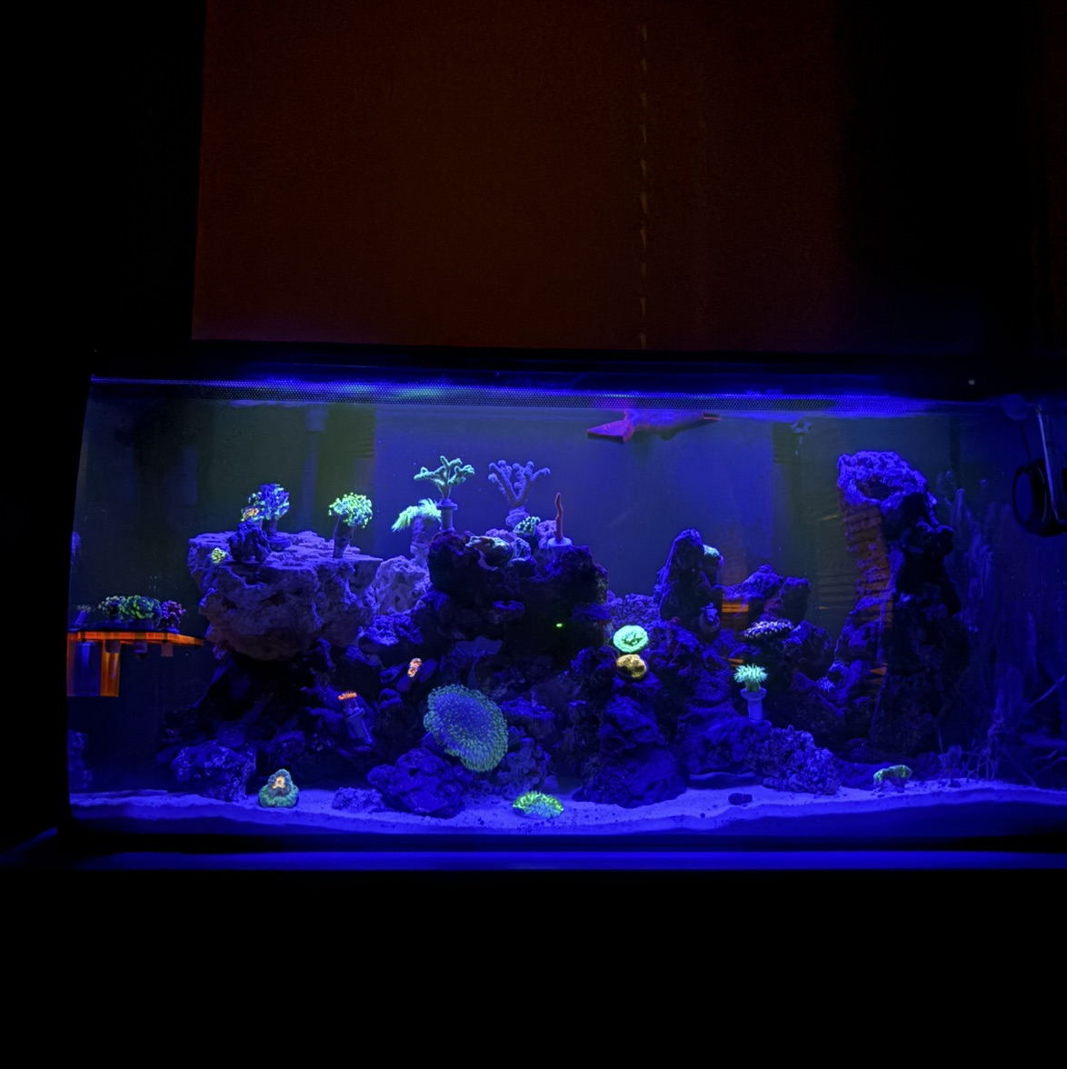 Tank Image