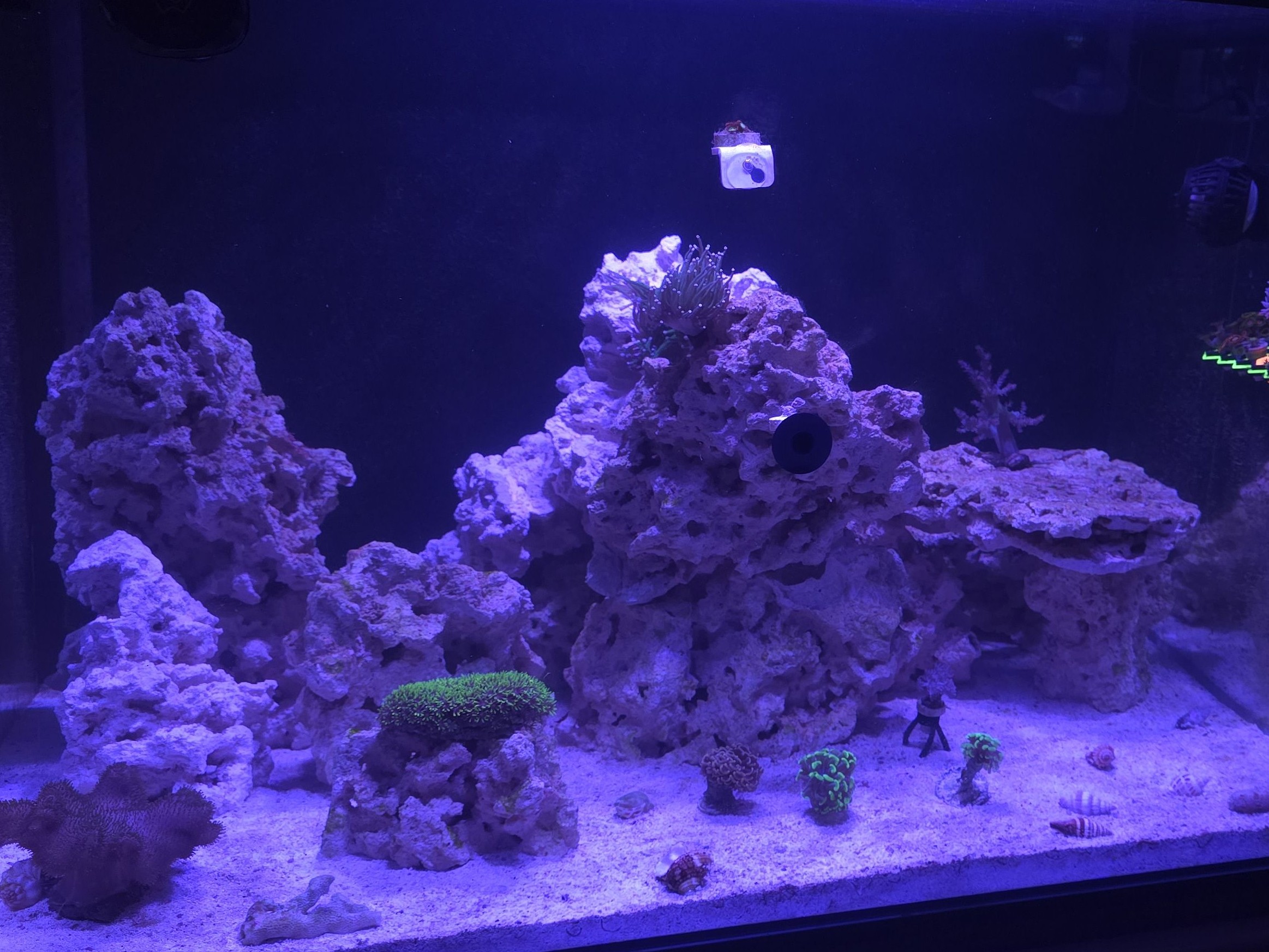 Tank Image