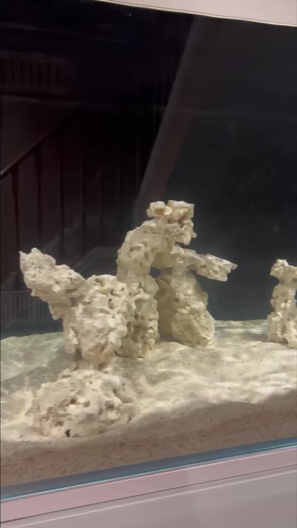 Cycling my new tank - I find the waiting the hardest. Nitrites are 0,5ppm and Nitrates are...