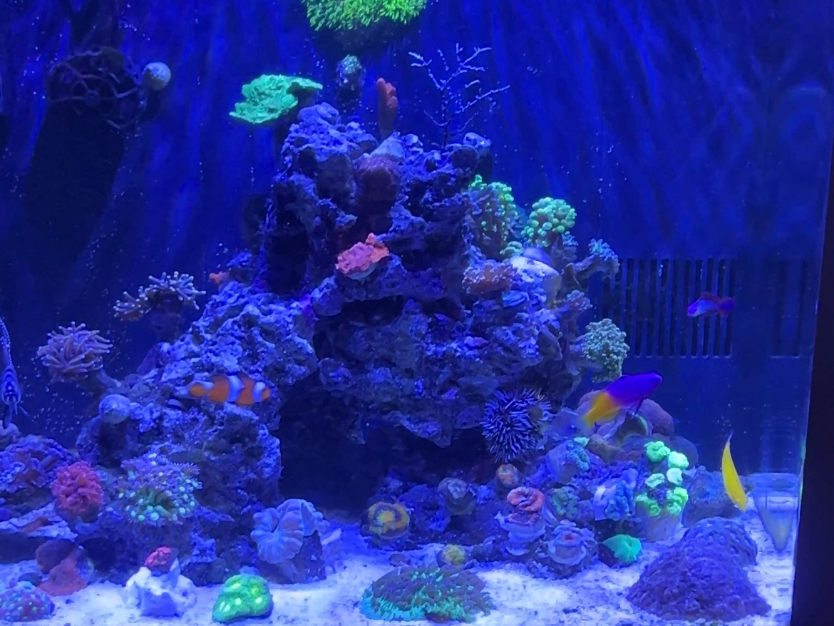Tank Image