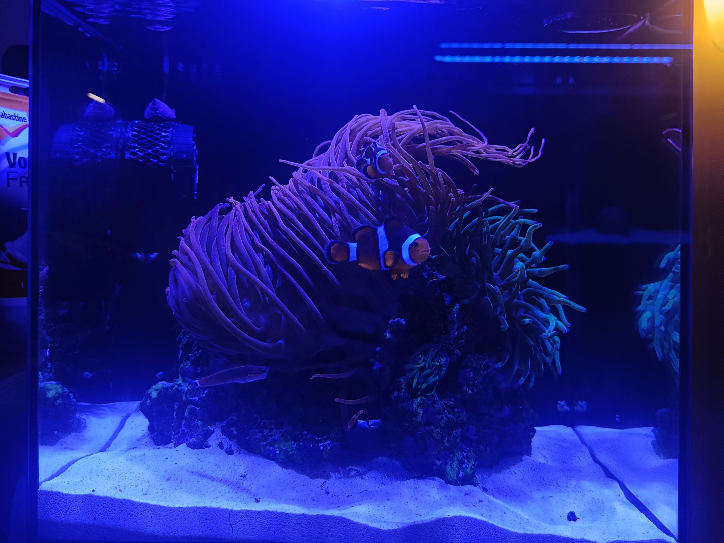 Tank Image
