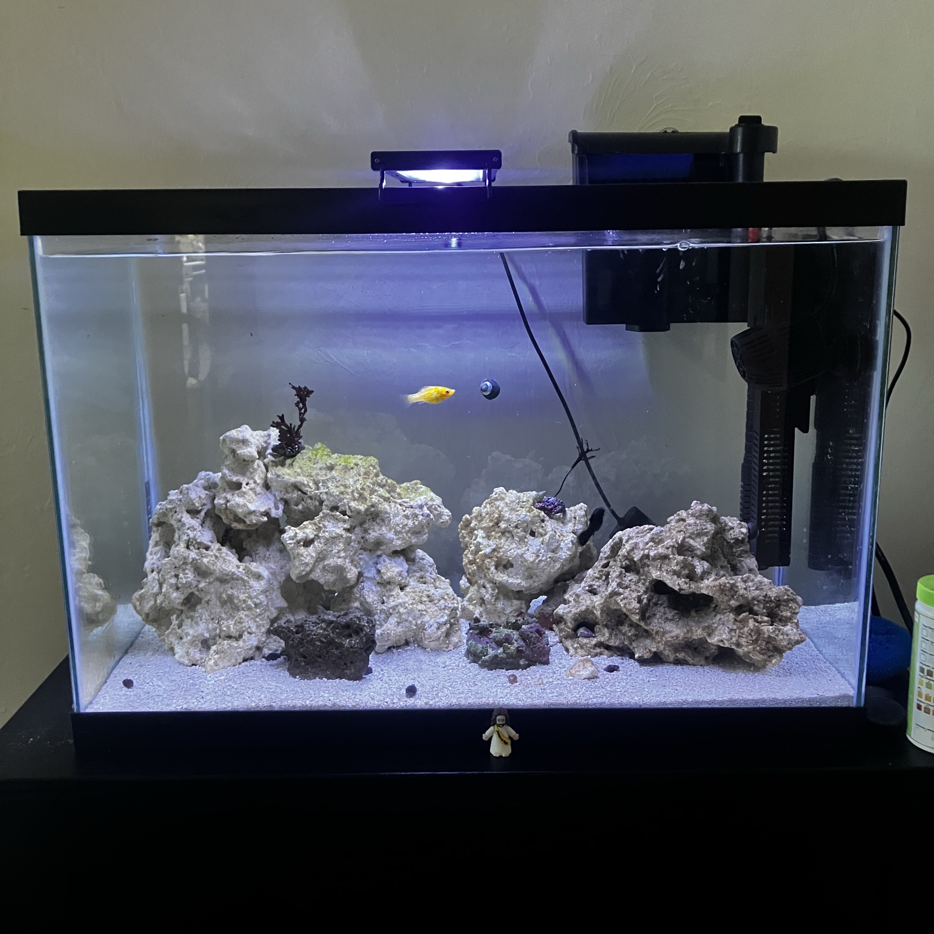 Tank Image