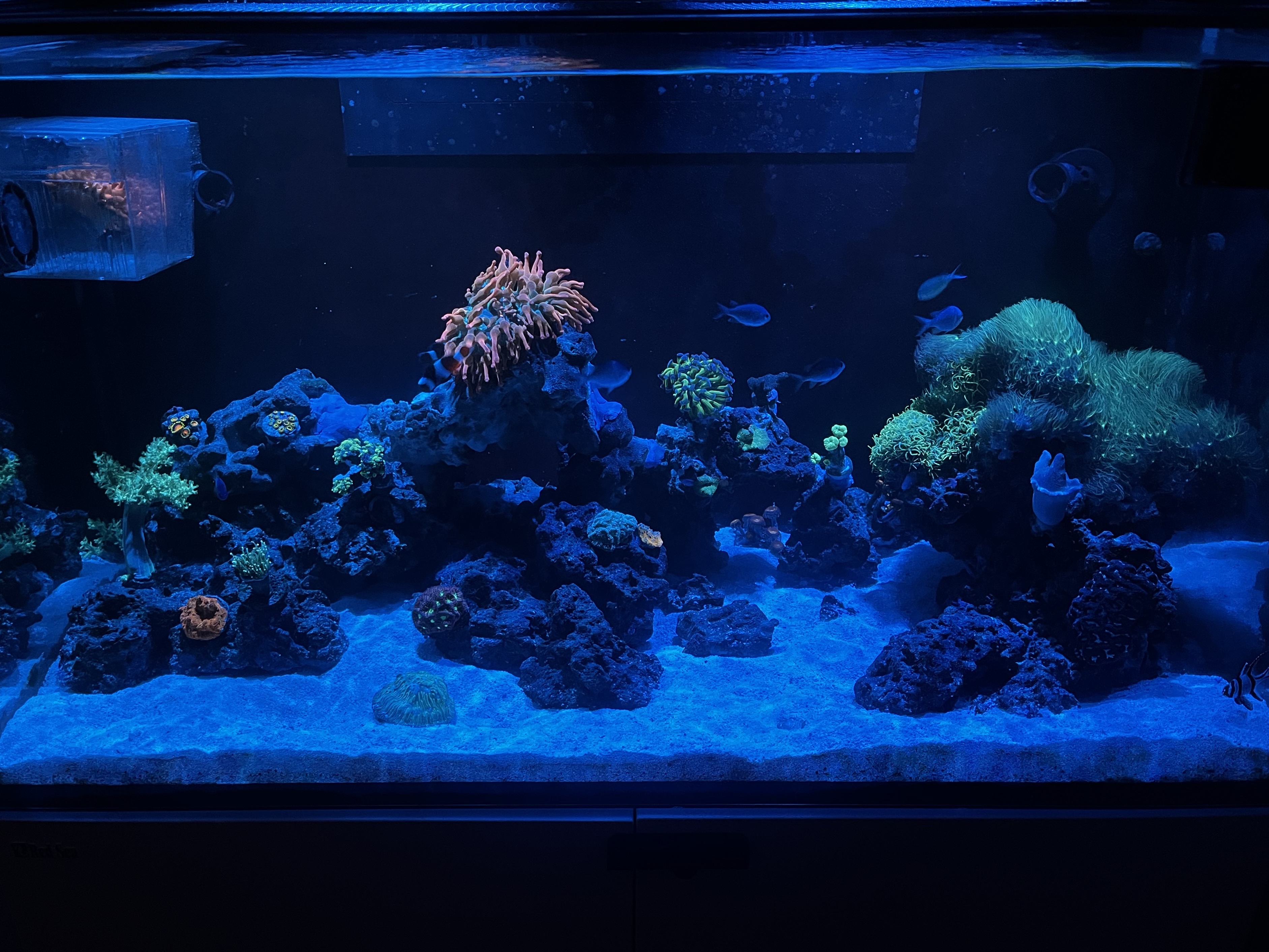 Tank Image