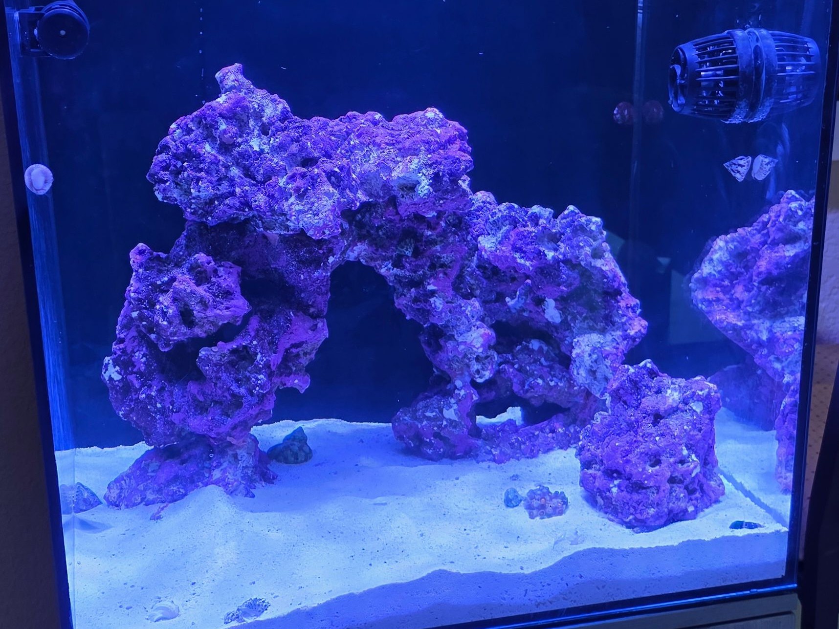 Tank Image