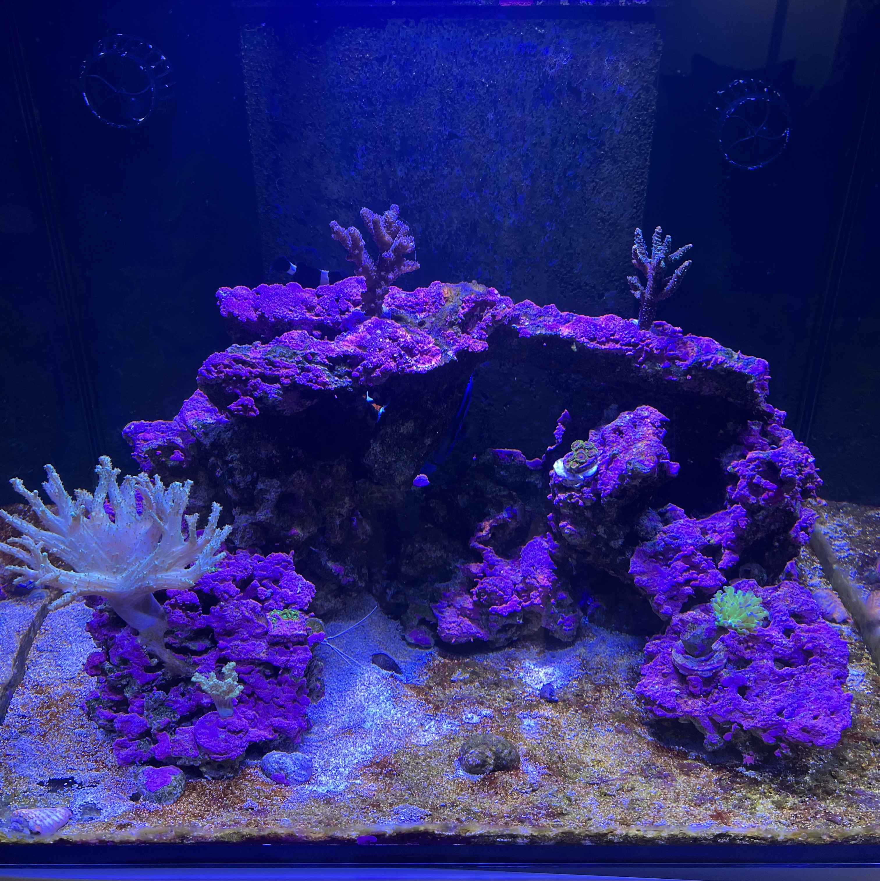 Tank Image