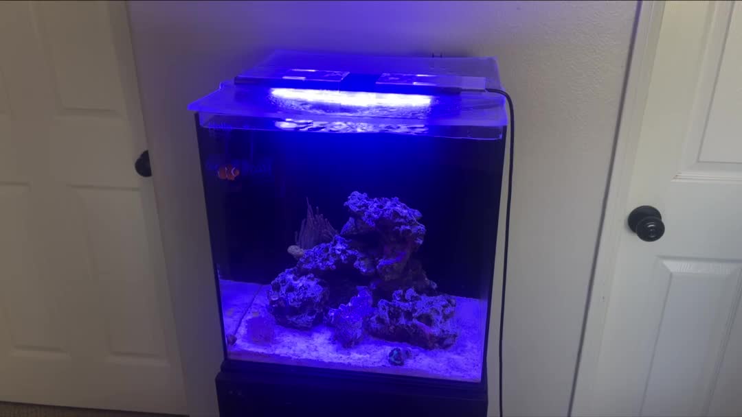 ReefBay post