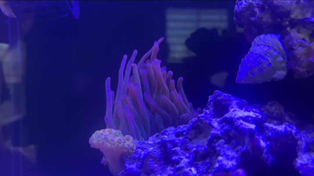 ReefBay post