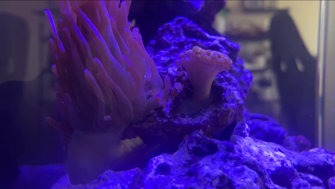 ReefBay post