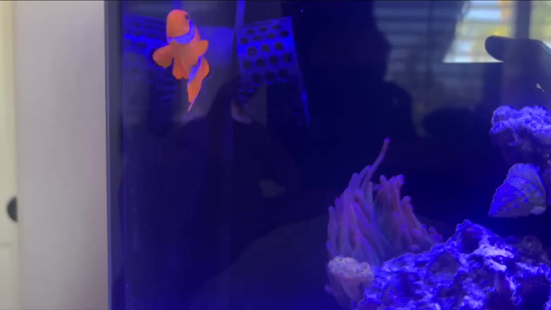 ReefBay post