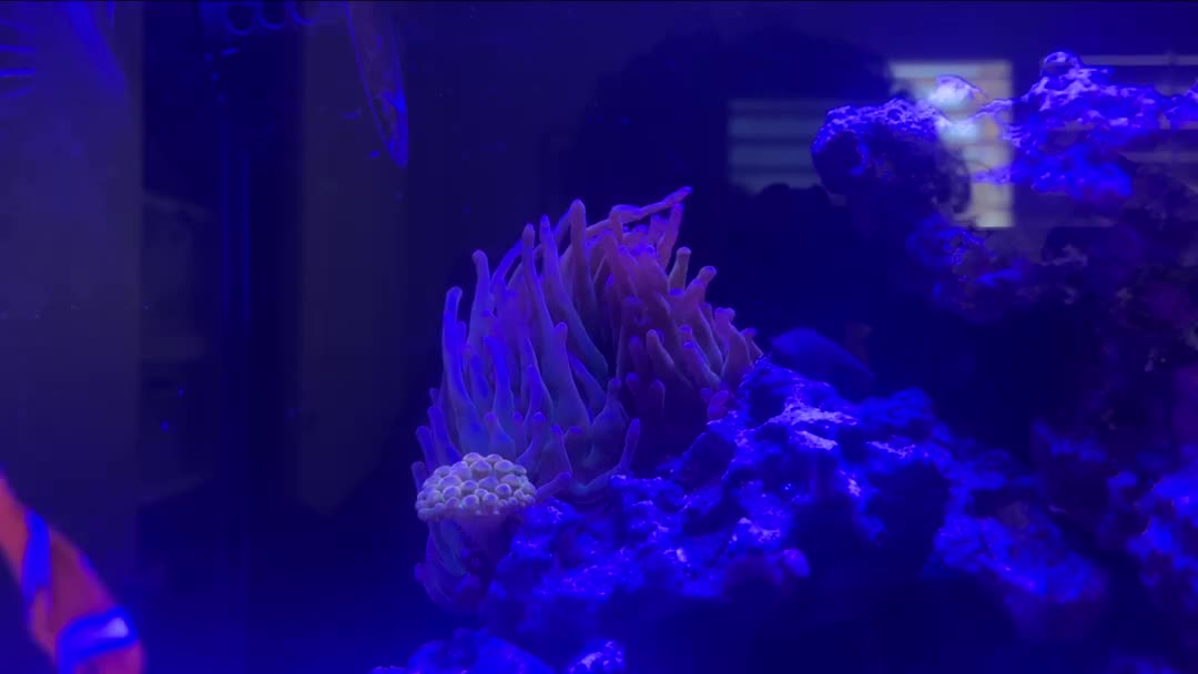 Does this flow look ok?