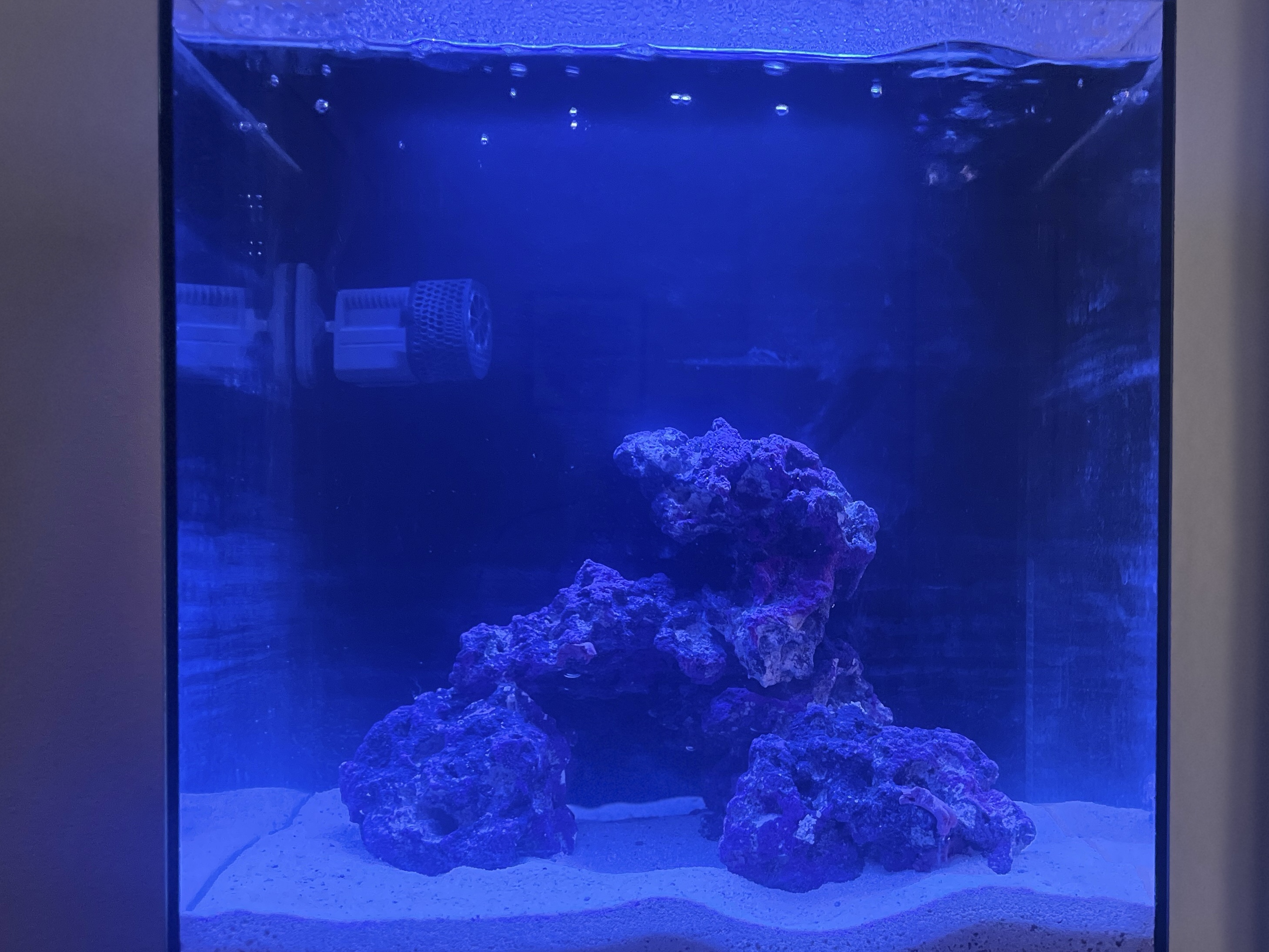 Tank Image