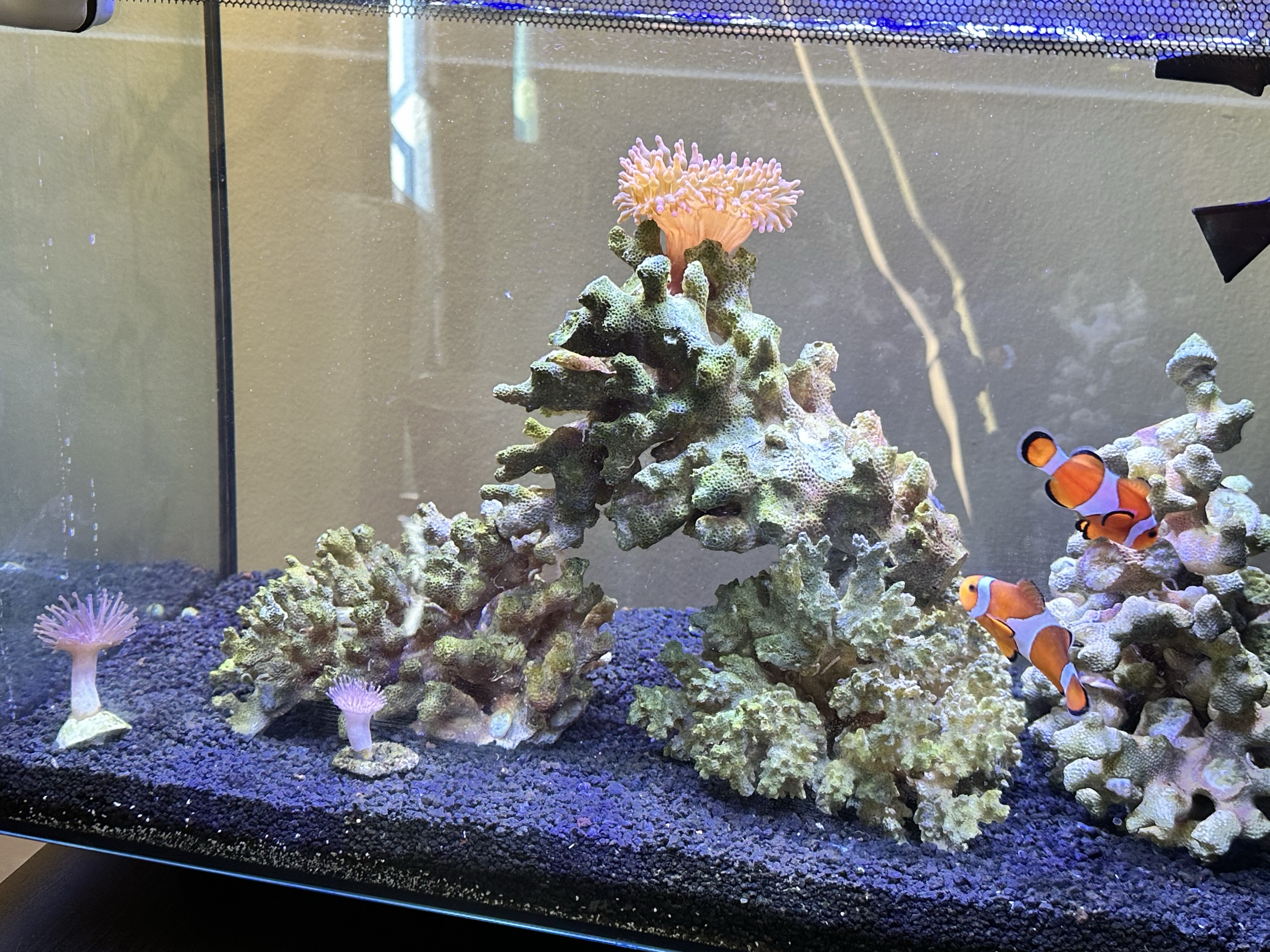 Tank Image