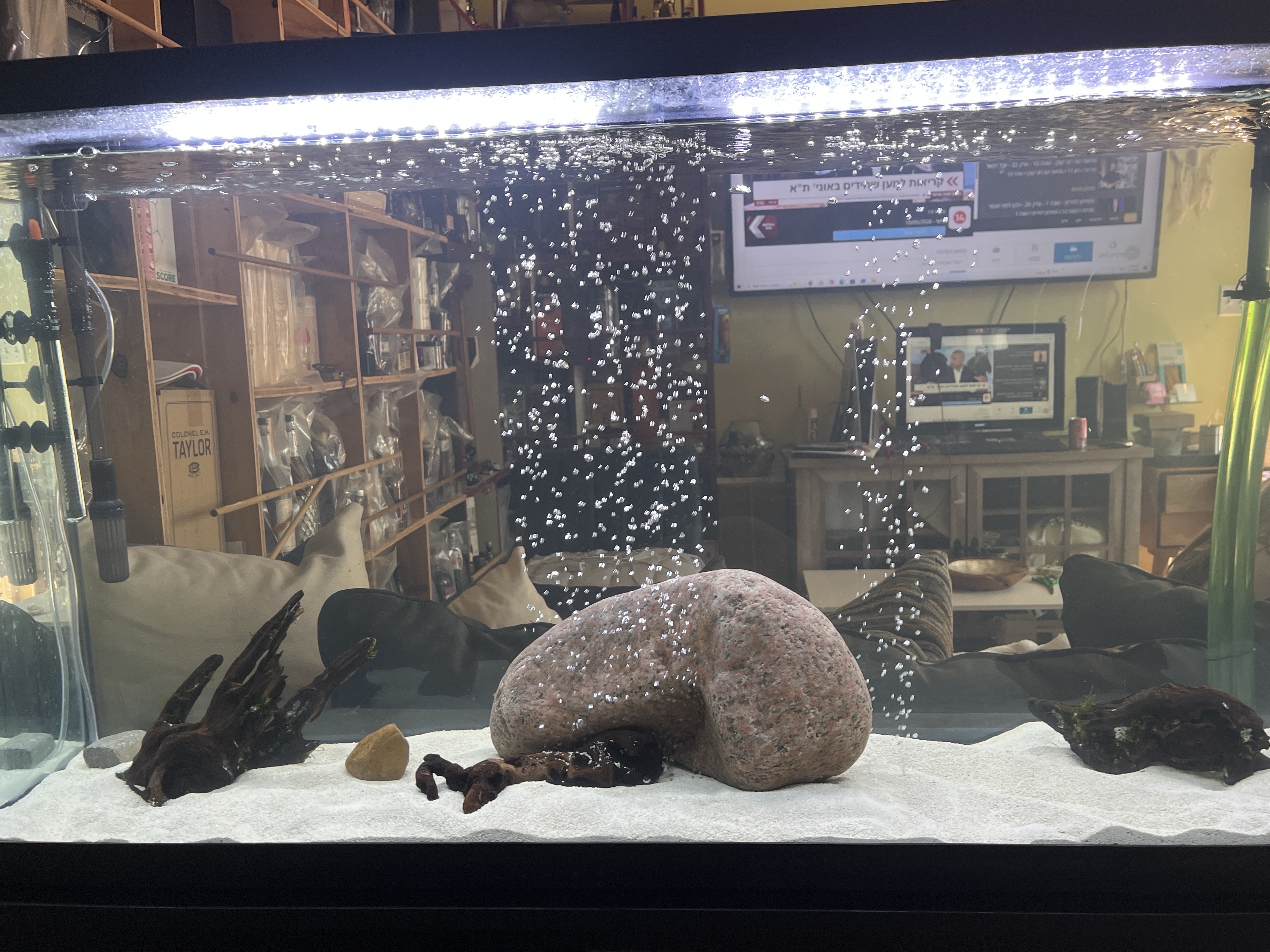 Tank Image