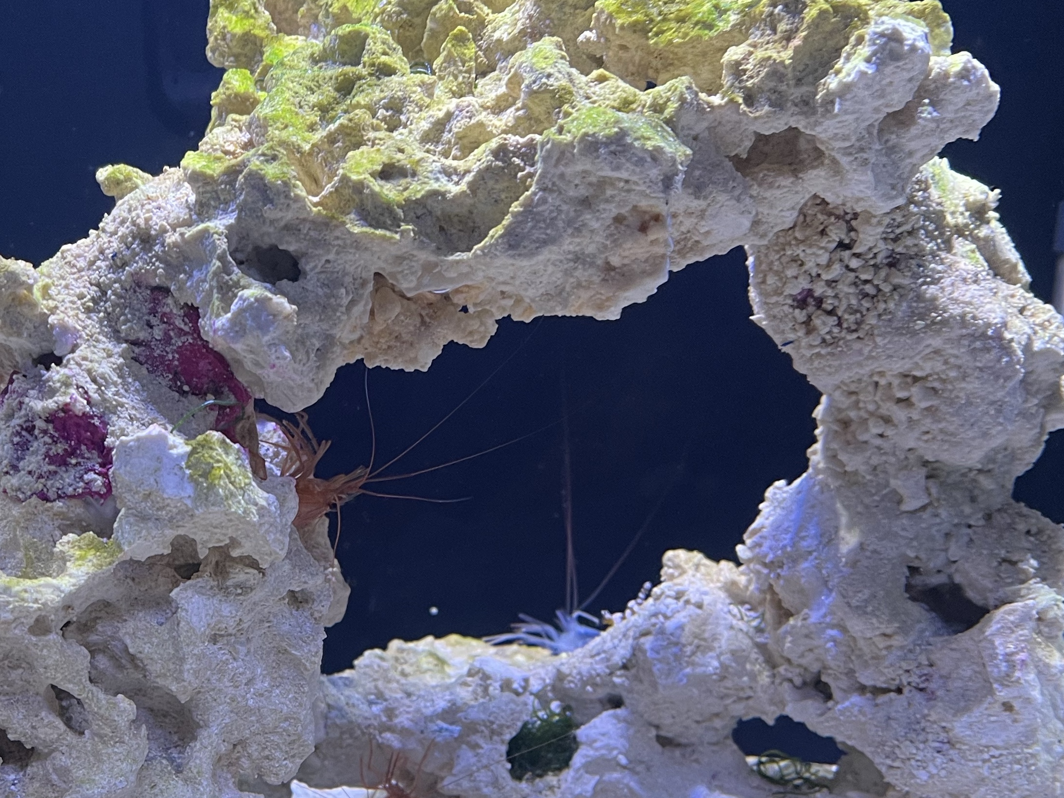 Tank Image